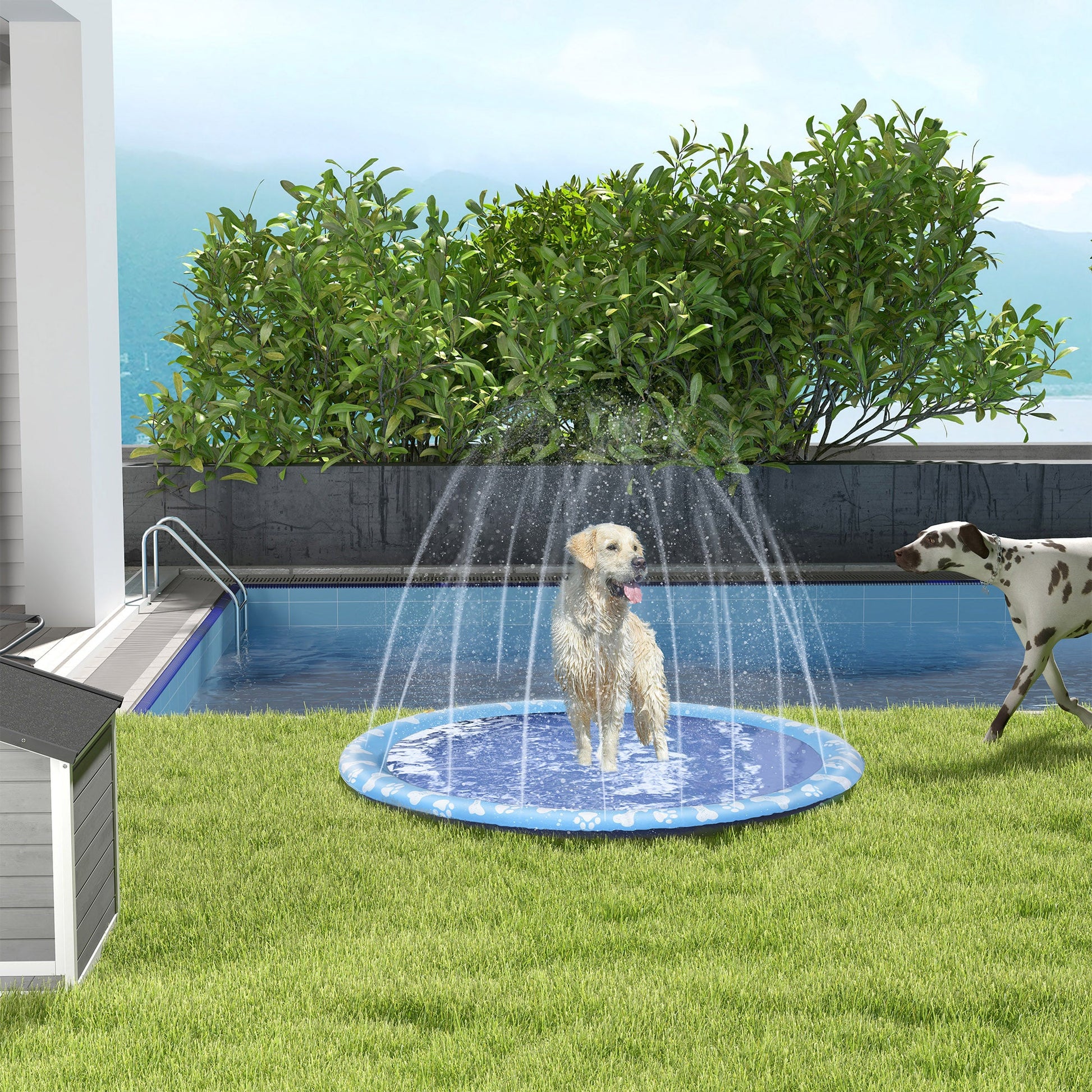 Dog Splash Pad, Pet Sprinkler Mat, Non-Slip Dog Paddling Pool, Foldable Outdoor Sprinkler and Splash Mat Water Play for Garden, Patio, Summer Fun, 170 cm