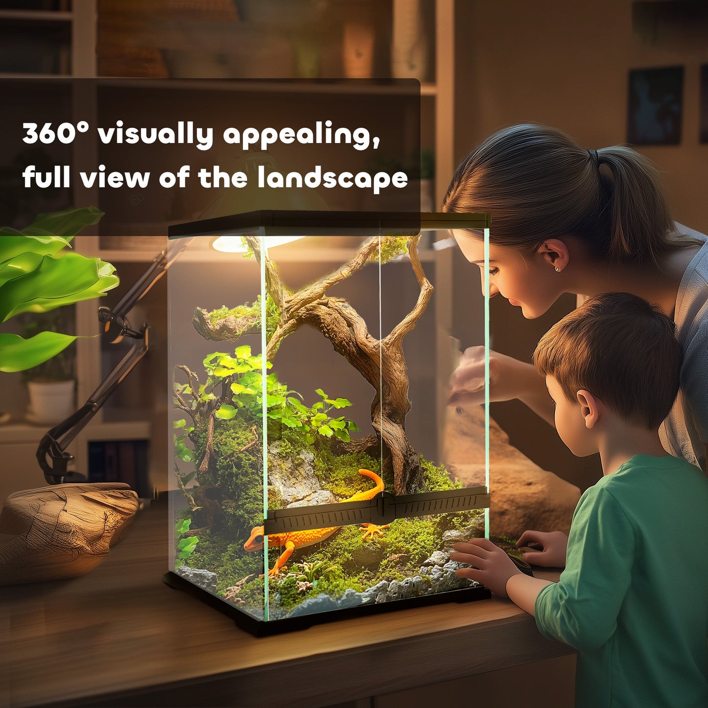 Glass Reptile Terrarium, 40L Vivarium for Lizards, Frogs, Snakes, Turtles, Tortoises, with Ventilation, 30 x 30 x 45cm