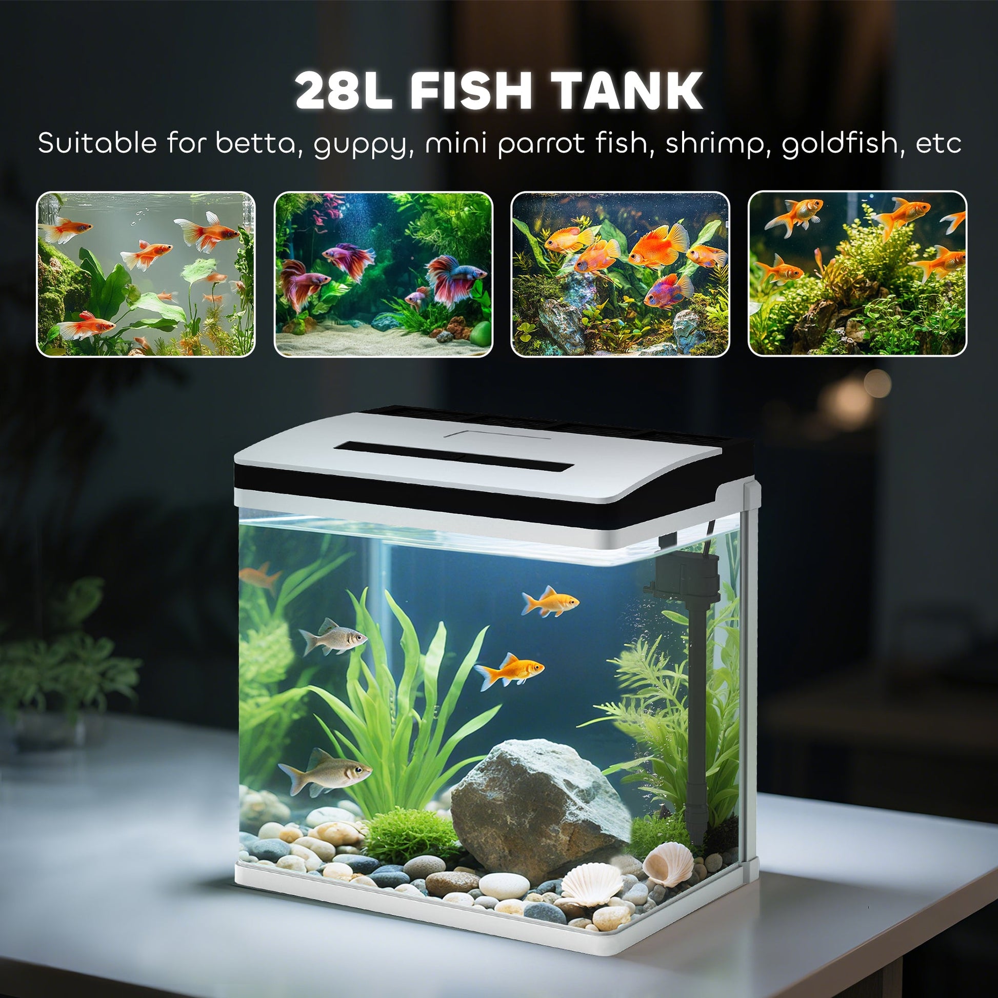Aquarium, 28L Glass Fish Tank with Filter, LED Lighting, Water Pump, for Bettas, Guppies, Mini Parrot Fishes, Shrimp, Goldfish, 38 x 26 x 39.5cm