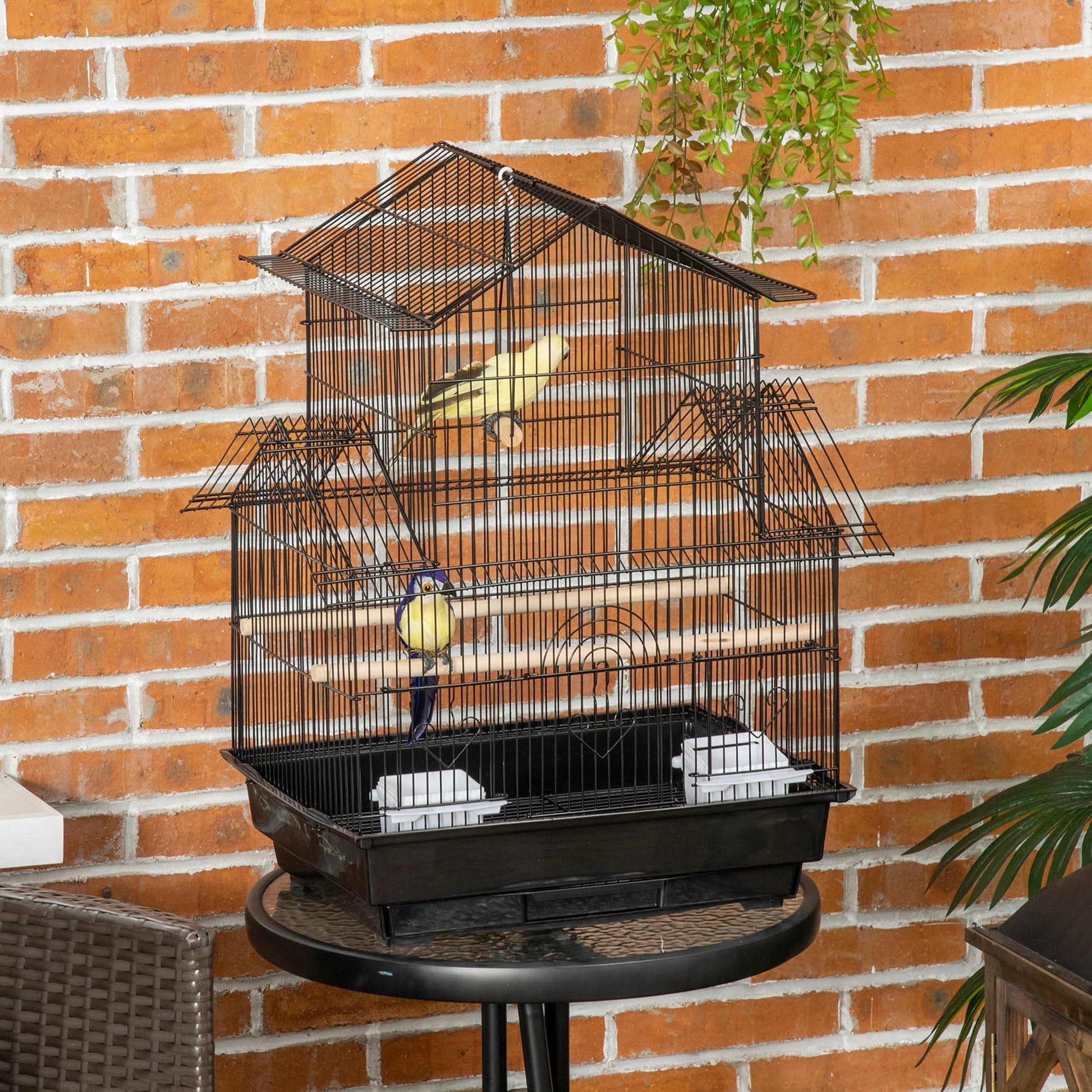 Metal Bird Cage with Plastic Swing Perch Food Container Tray Handle for Finch Canary Budgie 43.5 x 33 x 63 cm, Black