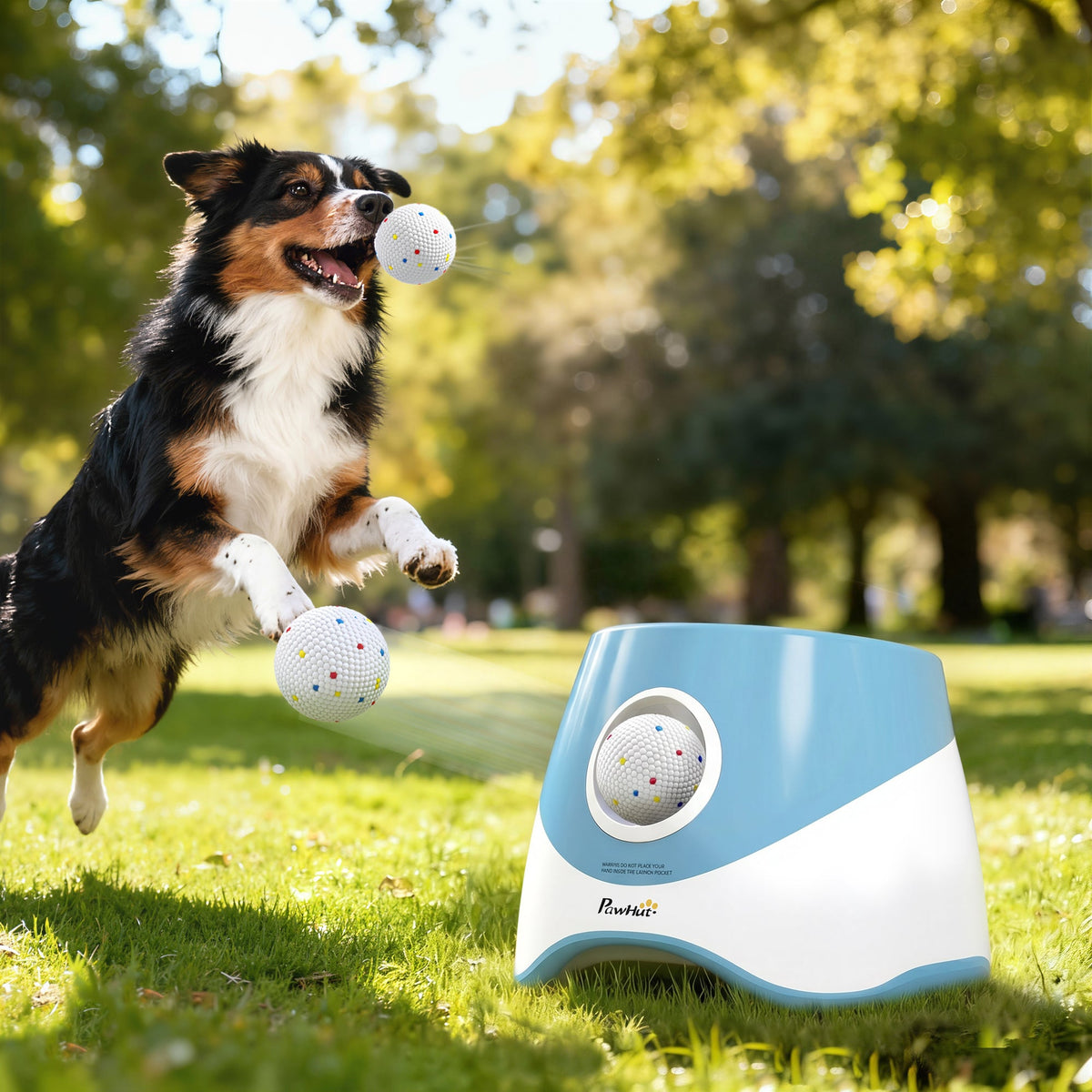 Automatic Dog Ball Launcher with 5 ETPU Balls, Dog Ball Thrower with 3 Distance Settings (6/10/14 m), Indoor Outdoor Interactive Toy for Small Medium Dogs, Blue