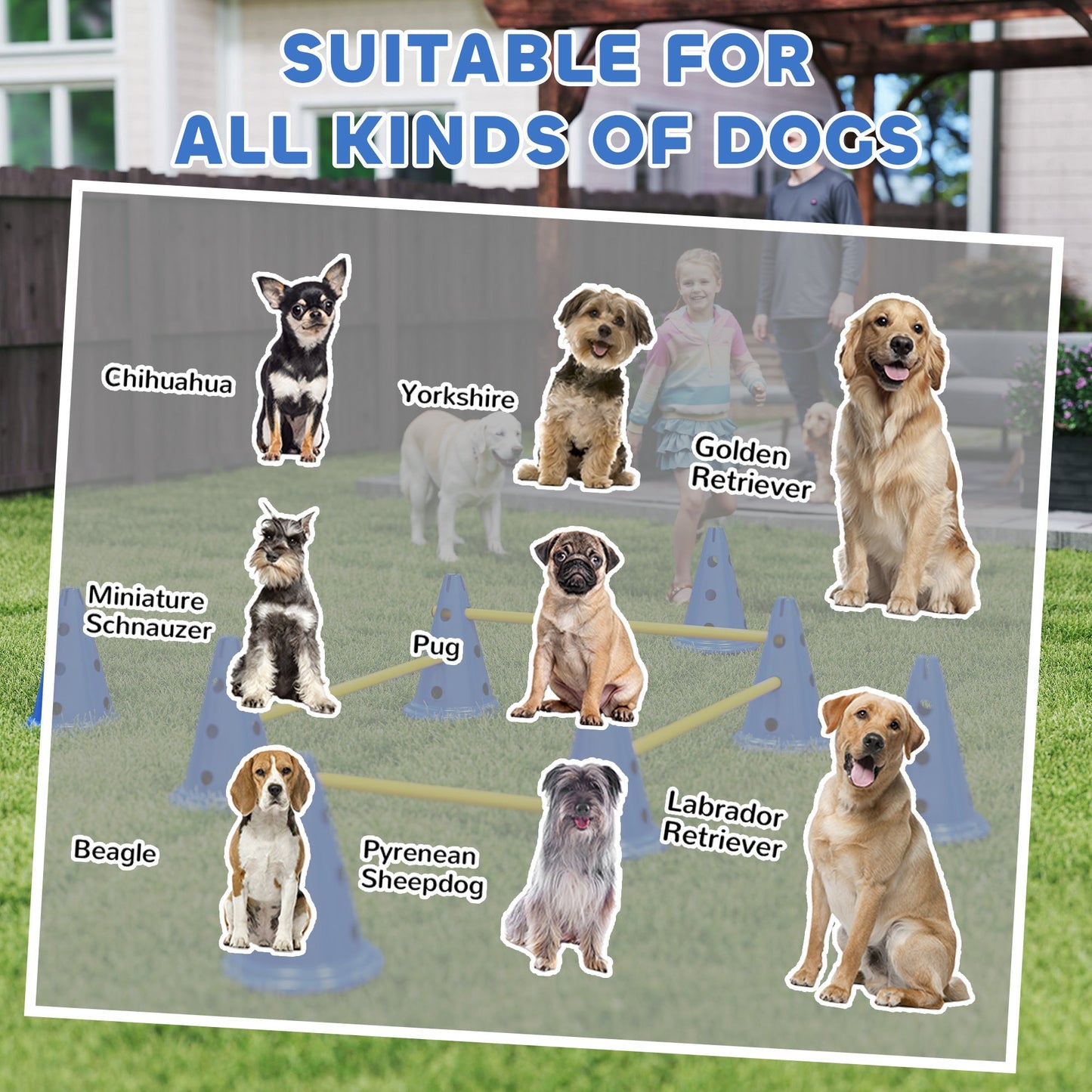 Dog Agility Equipment Set, Portable Pet Jump Training Kit for Eight Cones, Eight Poles with Carry Bag, Four-Piece Adjustable Height Jumping Obstacles, Blue