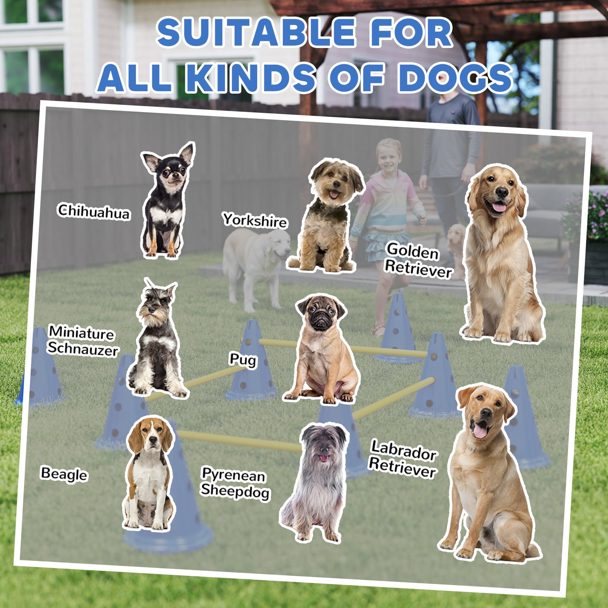 Dog Agility Equipment Set, Portable Pet Jump Training Kit for Eight Cones, Eight Poles with Carry Bag, Four-Piece Adjustable Height Jumping Obstacles, Blue