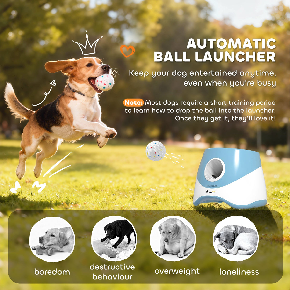 Automatic Dog Ball Launcher with 5 ETPU Balls, Dog Ball Thrower with 3 Distance Settings (6/10/14 m), Indoor Outdoor Interactive Toy for Small Medium Dogs, Blue