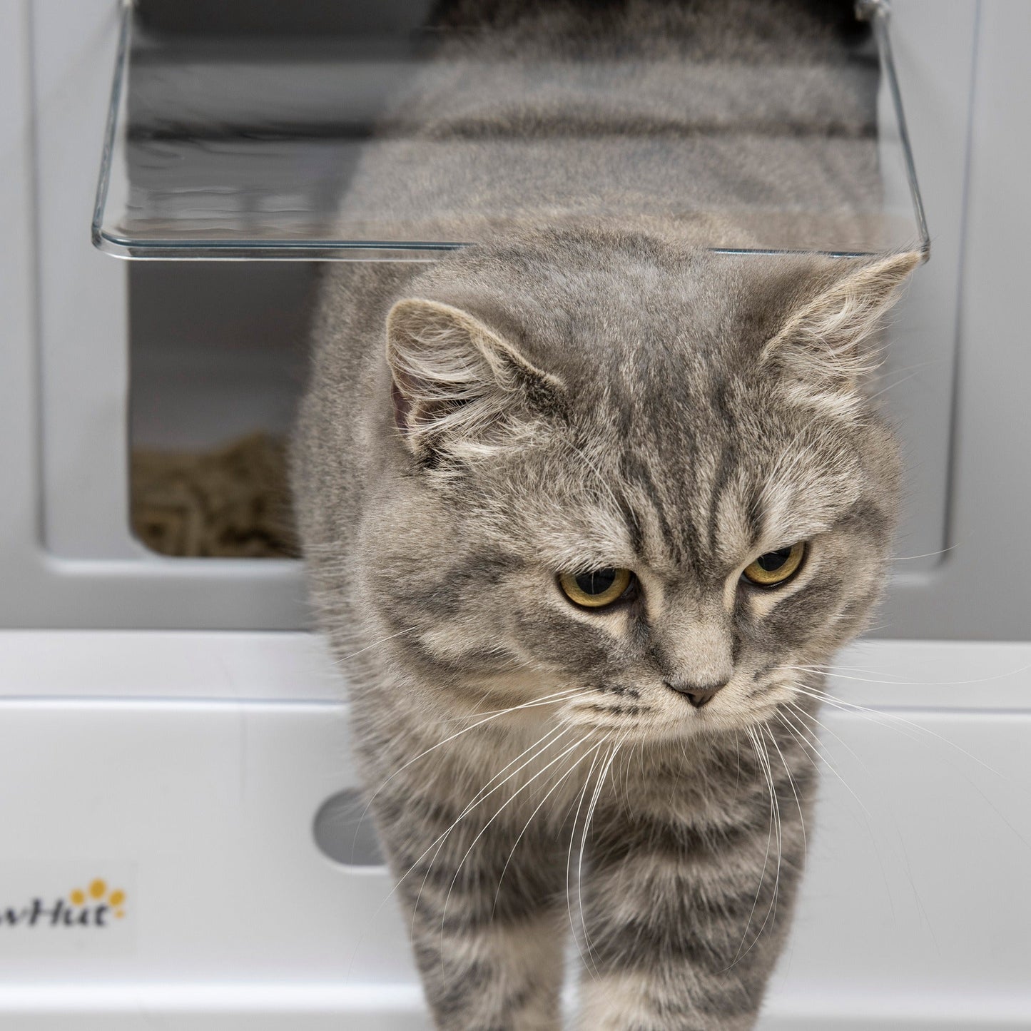 Cat Litter Tray with Hood Enclosed Cat Litter Box Pet Toilet w/ Lid, Scoop, Front Entry, 47.5 x 35.5 x 36.7cm - Grey