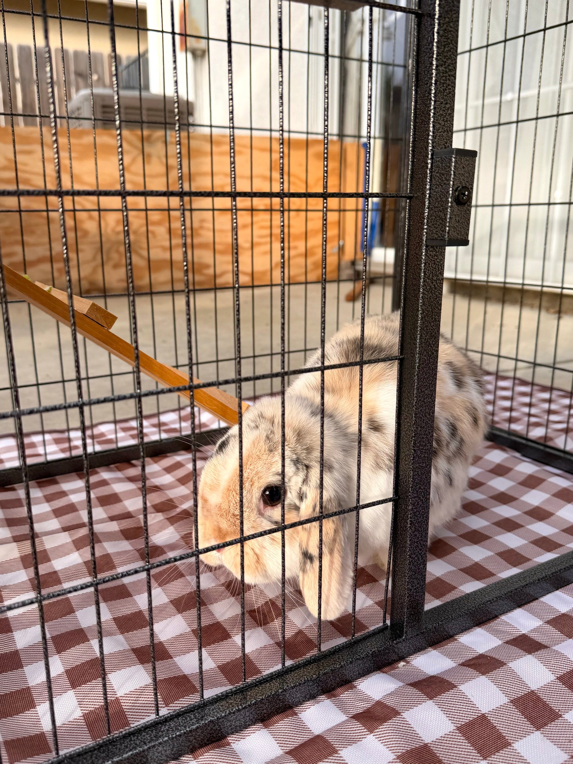 Large Rabbit Hutch with 2 Runs Ramp Tray & Asphalt Roof Yellow