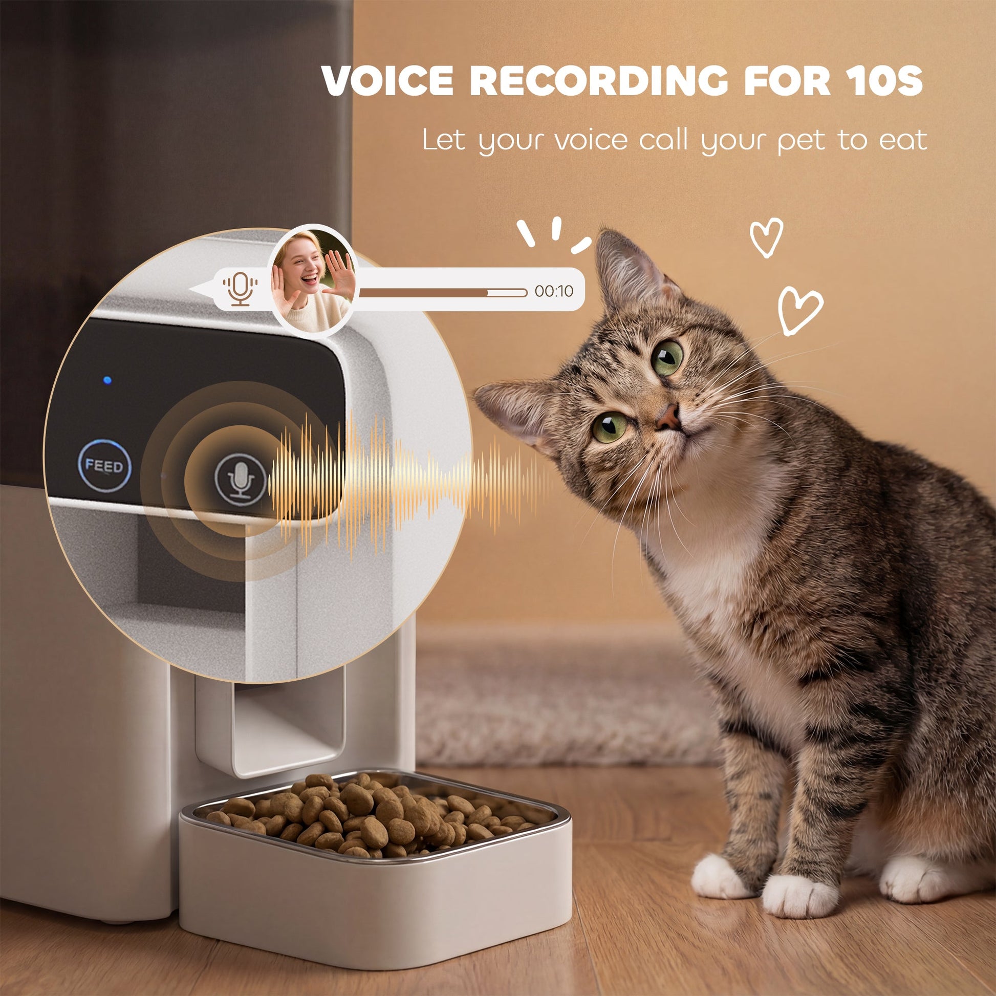 Automatic Cat Feeder w/ Stainless Steel Bowl, 4.5L WiFi Cat Food Dispenser with Timer Up to 10 Meals, Voice Recorder, Programmable Auto Pet Feeder with Portion Control, for Multi-Kittens