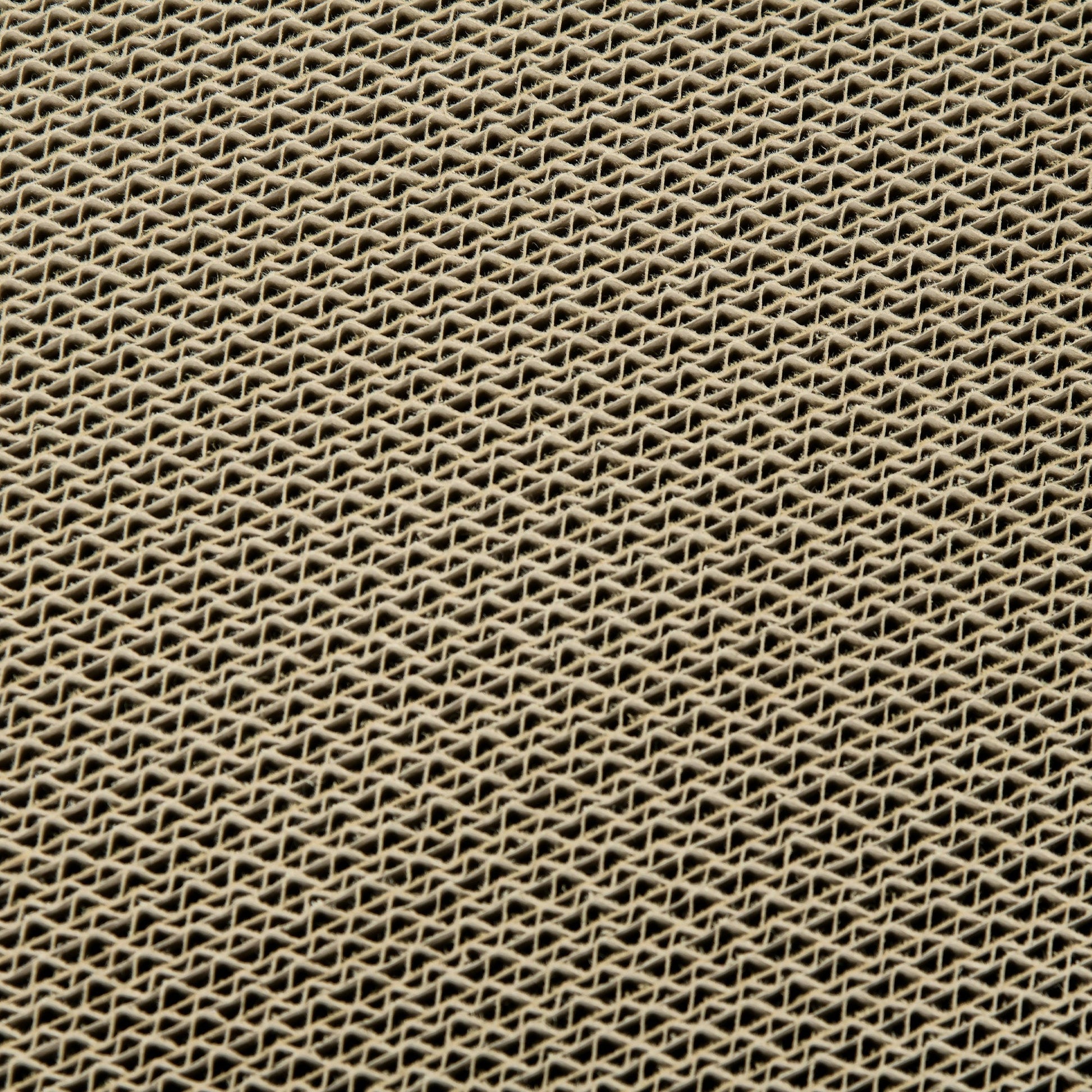 Cat Scratching Board, 2 in 1 Cat Scratcher Cardboard with Catnip, Canned Tuna Design Cat House for Indoor Kitty, Cream White