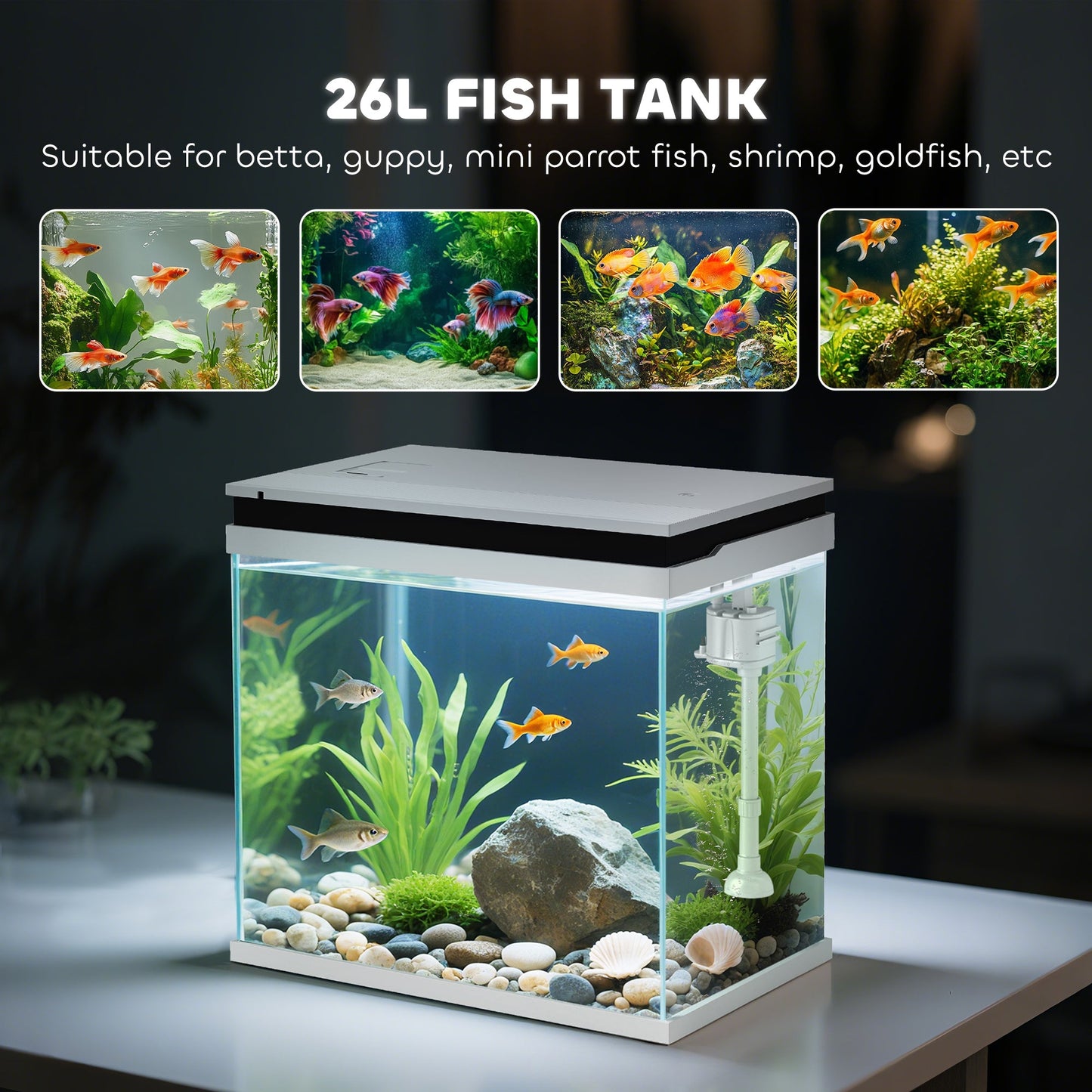 Fish Tank, 26L Glass Aquarium with Filter System, LED Lights, Water Pump, Betta Fish Tank for Goldfish, Shrimps, White