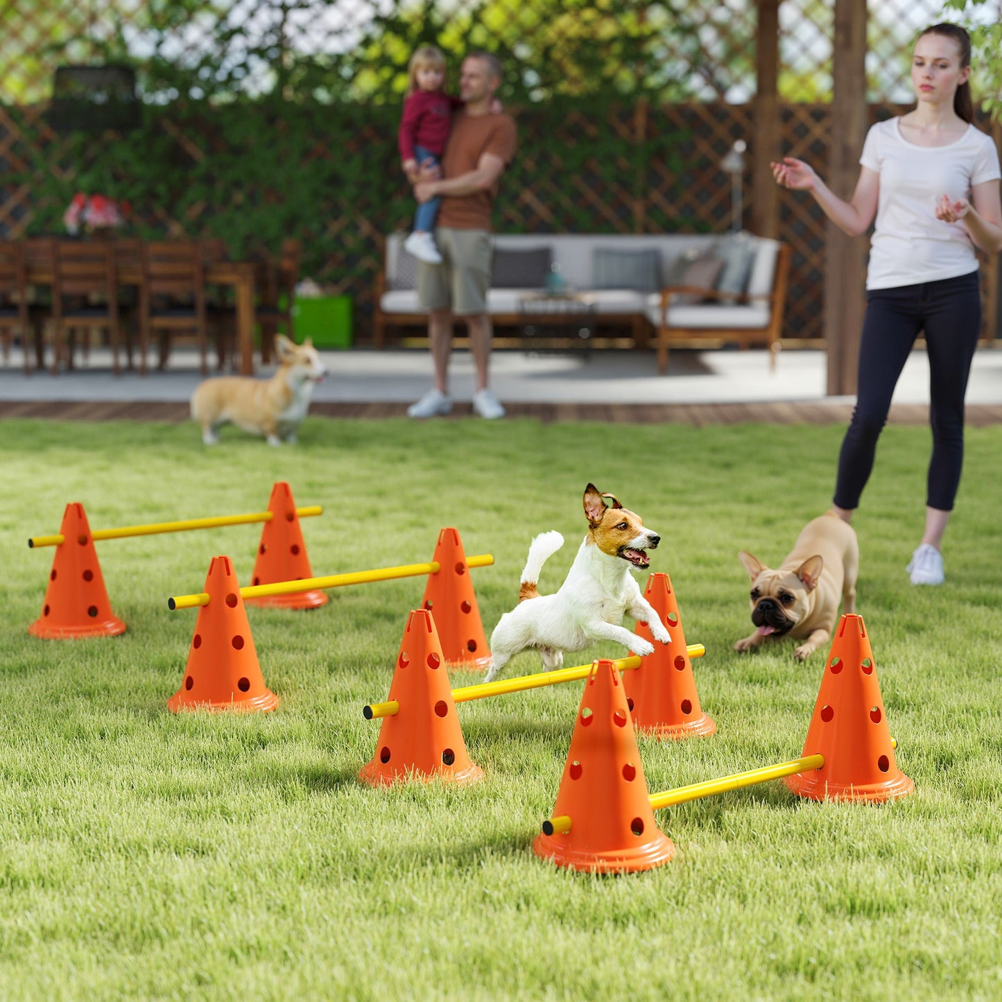 Dog Agility Equipment Set, Portable Pet Jump Training Kit for Eight Cones, Eight Poles with Carry Bag, Four-Piece Adjustable Height Jumping Obstacles, Orange