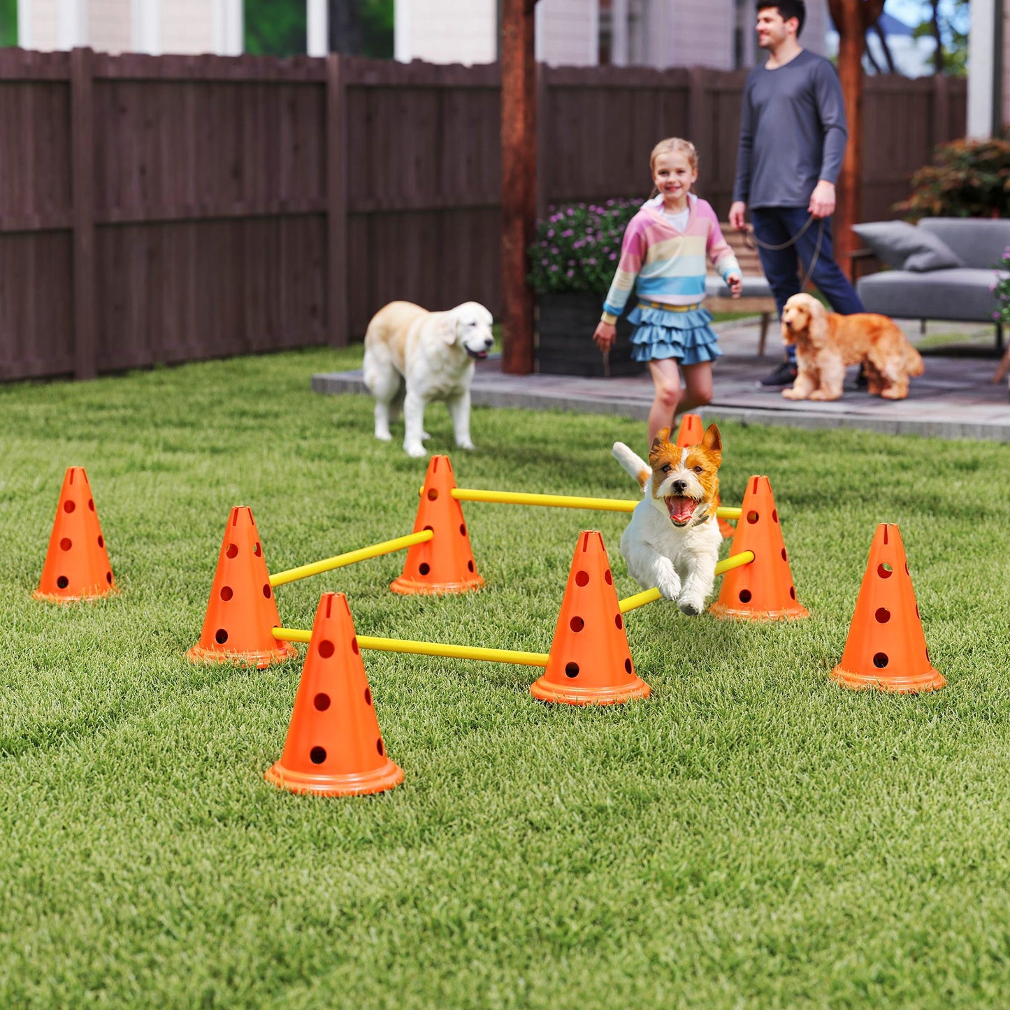 Dog Agility Equipment Set, Portable Pet Jump Training Kit for Eight Cones, Eight Poles with Carry Bag, Four-Piece Adjustable Height Jumping Obstacles, Orange