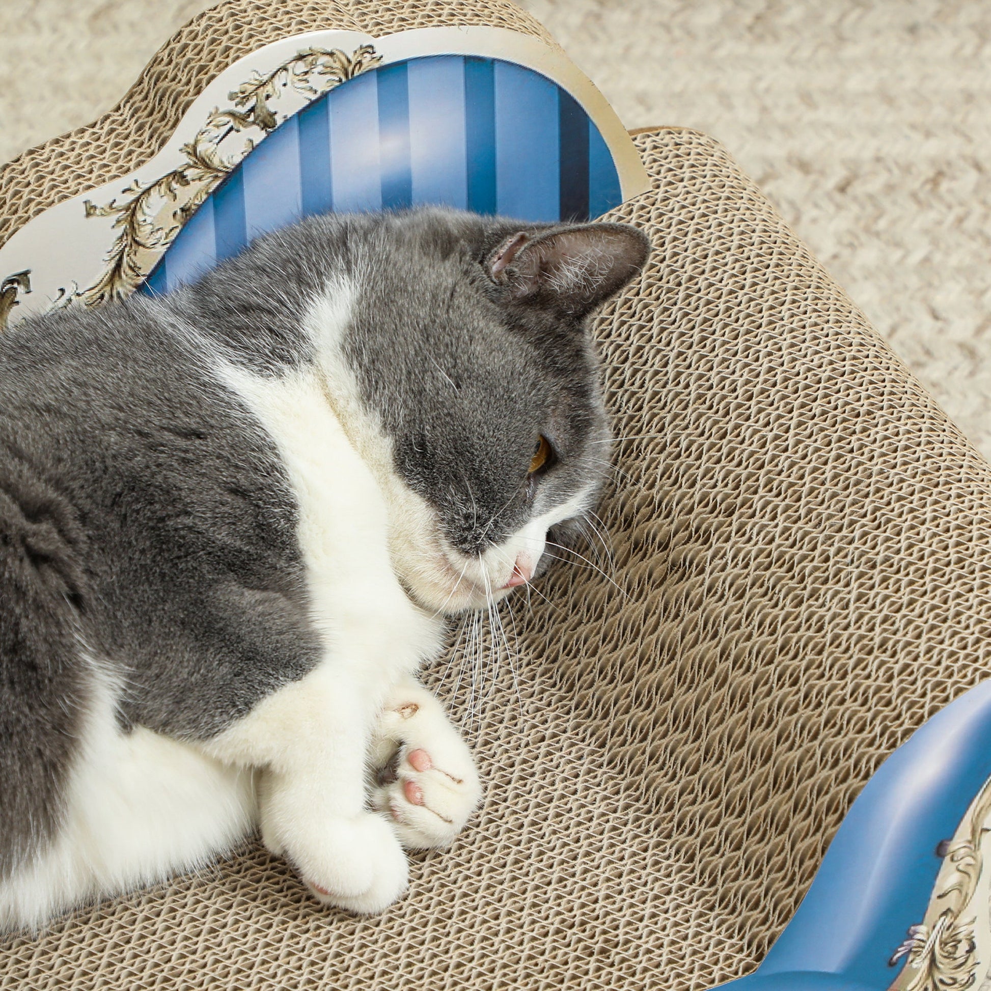 Cat Scratcher, 2-in-1 Cat Scratching Board with Catnip, Cardboard Lounge for Indoor Cats