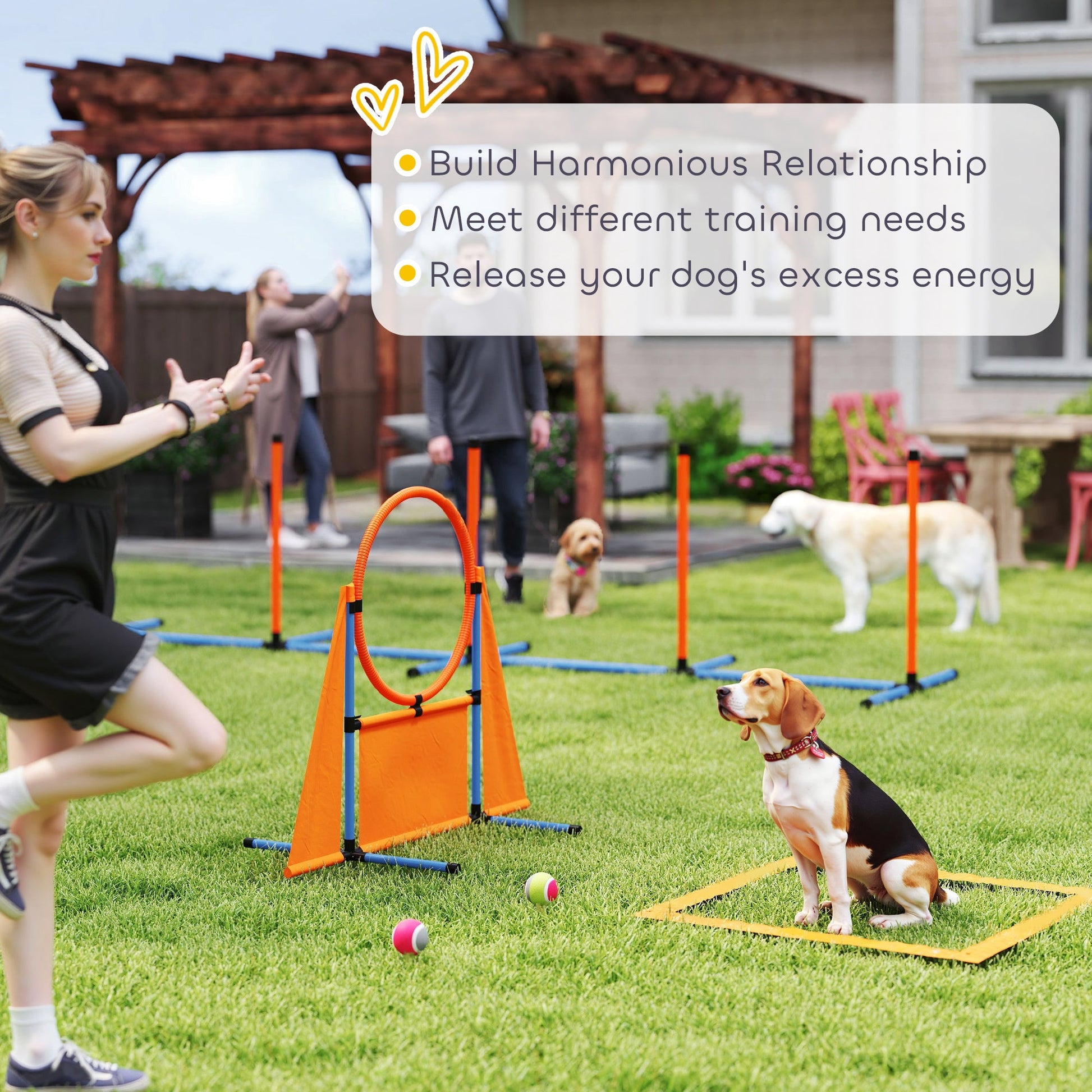 6-Piece Dog Agility Equipment, Pet Agility Training Set with Weave Poles, Jump Ring, Hurdle, Pause Box, Obstacle Training Course Kit with Bag, Orange