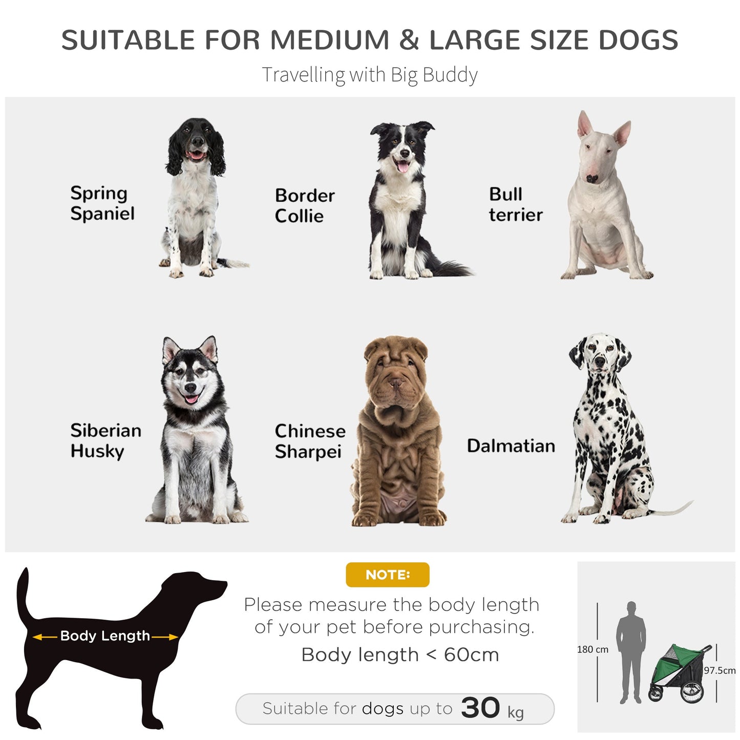 Large Dog Stroller Dog Pram Foldable Pet Pushchair with Safety Leashes for Medium, Large Dogs - Green