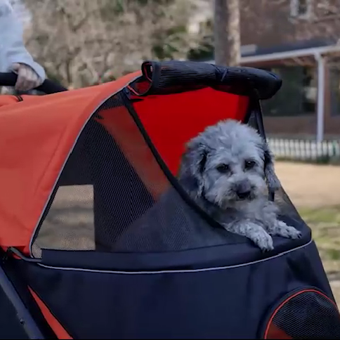 PawHut EasyFold City Pet Stroller with Shock Absorber Red