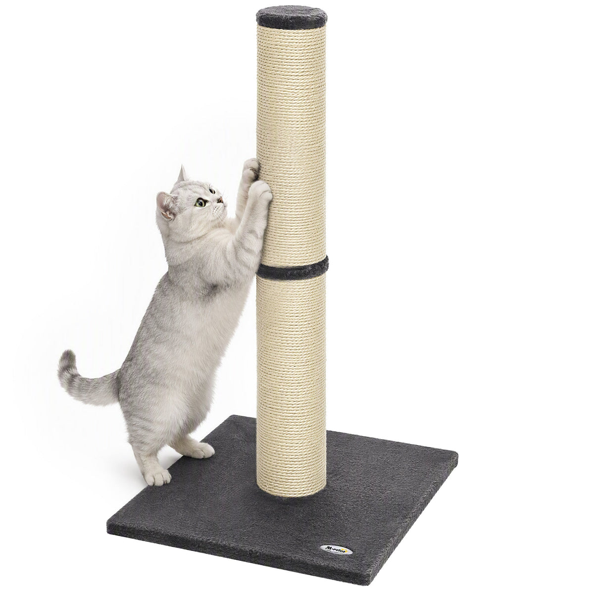 Cat Scratching Post, 80cm Tall Cat Scratch Post with Sisal Rope, Plush Base, Lightweight Claw Scratcher for Indoor Kittens, Dark Grey