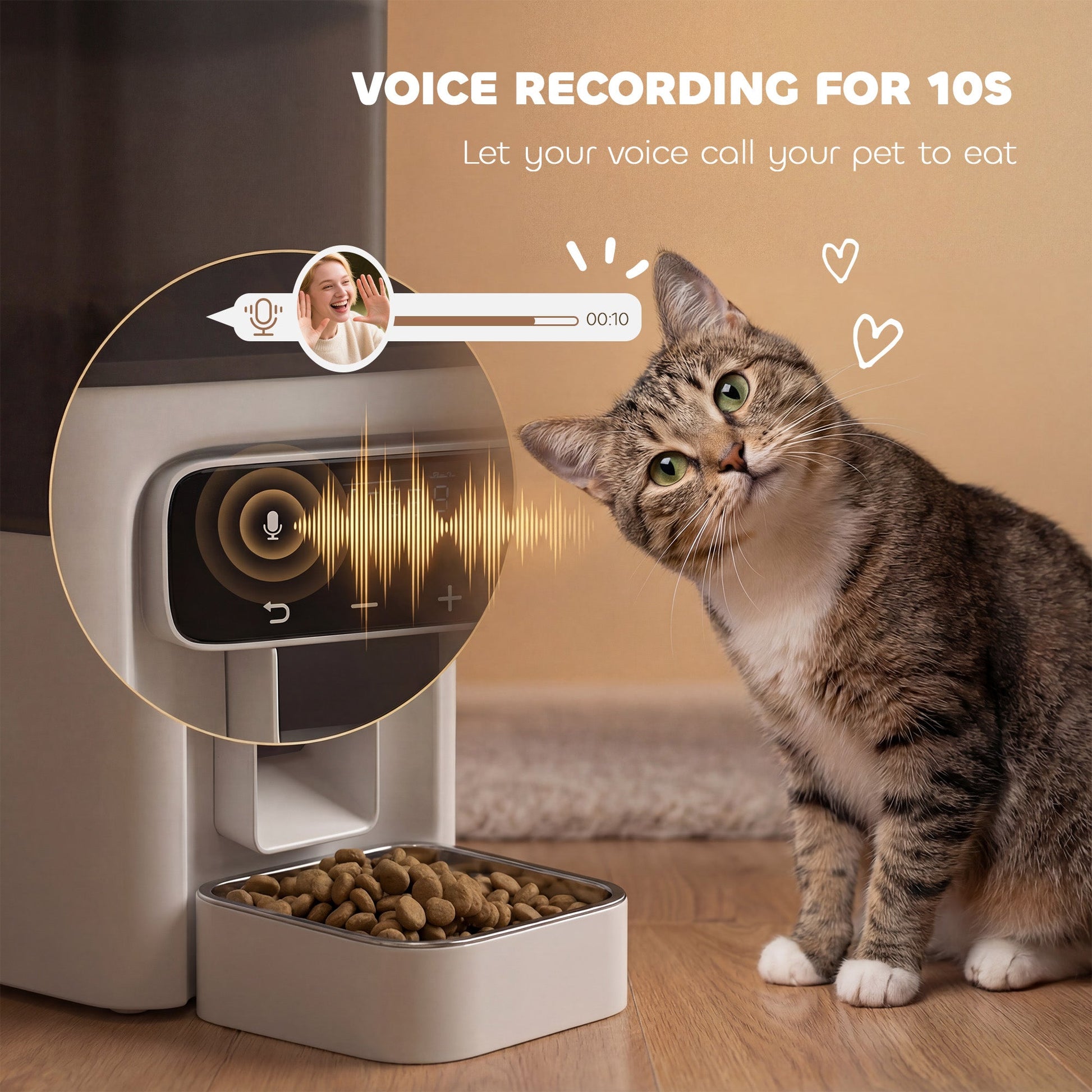 Automatic Cat Feeder w/ Stainless Steel Bowl, 4.5L Cat Food Dispenser with Timer Up to 6 Meals, Voice Recorder, Programmable Auto Pet Feeder with Portion Control, for Multi-Kittens