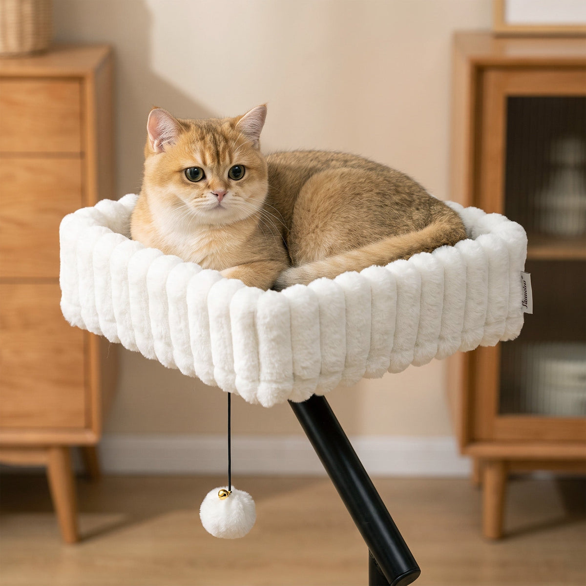 Cat Desk Bed, 360° Rotatable Raised Cat House for Desk and Window, Soft Kitten Hammock with Hanging Ball, Adjustable Clamp for Indoor Kittens, White