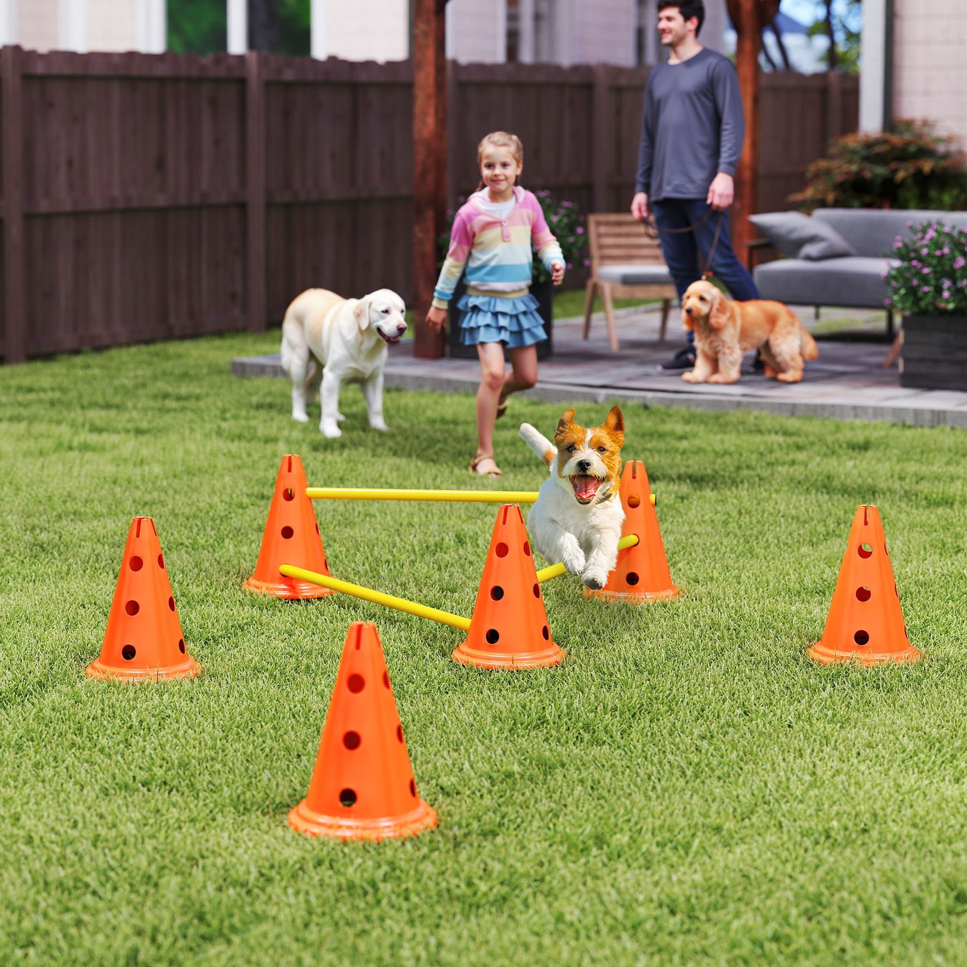 Dog Agility Set, Portable Pet Jump Training Equipment Kit for Six Cones, Six Poles with Carry Bag, Three-Piece Adjustable Height Jumping Obstacles, Orange
