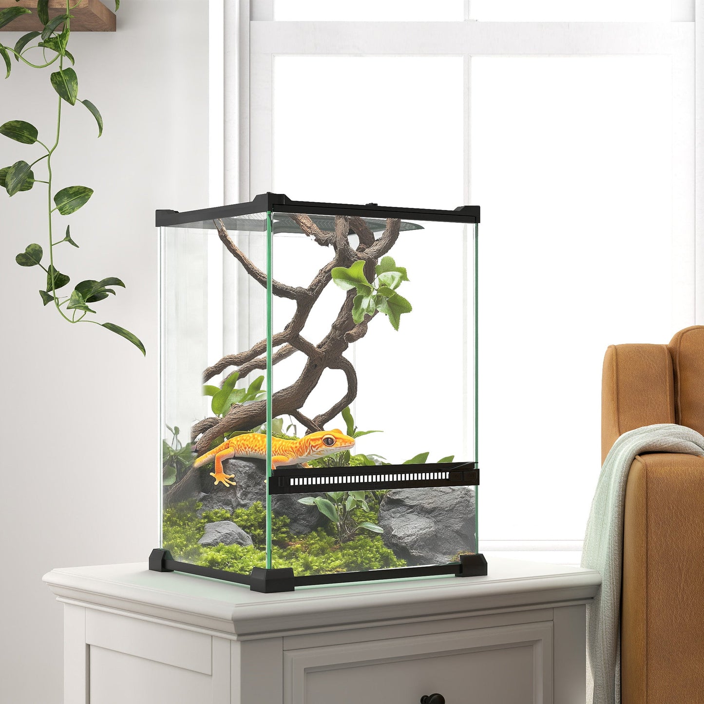 Glass Reptile Terrarium, 12L Vivarium for Lizards, Frogs, Snakes, Turtles, Tortoises, with Ventilation, 20 x 20 x 30cm