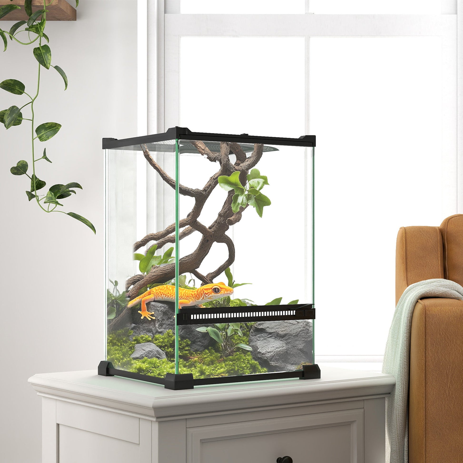 Glass Reptile Terrarium, 12L Vivarium for Lizards, Frogs, Snakes, Turtles, Tortoises, with Ventilation, 20 x 20 x 30cm