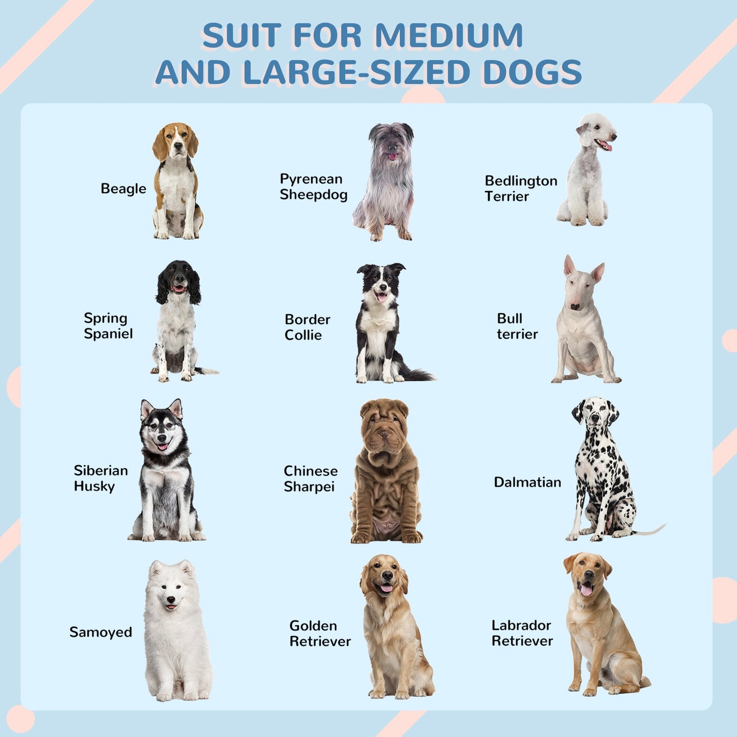 Plastic Dog House Outdoor Indoor, Weather-Resistant Dog Kennel, with Large Opening, for Large Dogs, 84.2 x 98.2 x 82cm - White and Blue