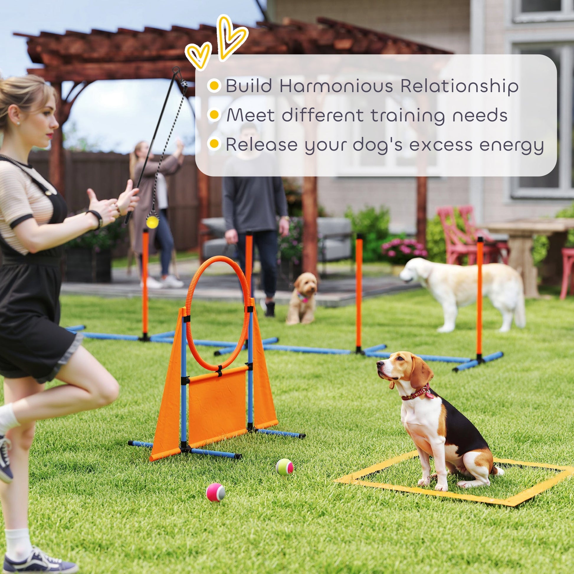 Dog Agility Equipment, 7-Piece Pet Agility Training Set with Weave Poles, Jump Ring, Hurdle, Pause Box, Bag, Obstacle Training Course Kit, Orange