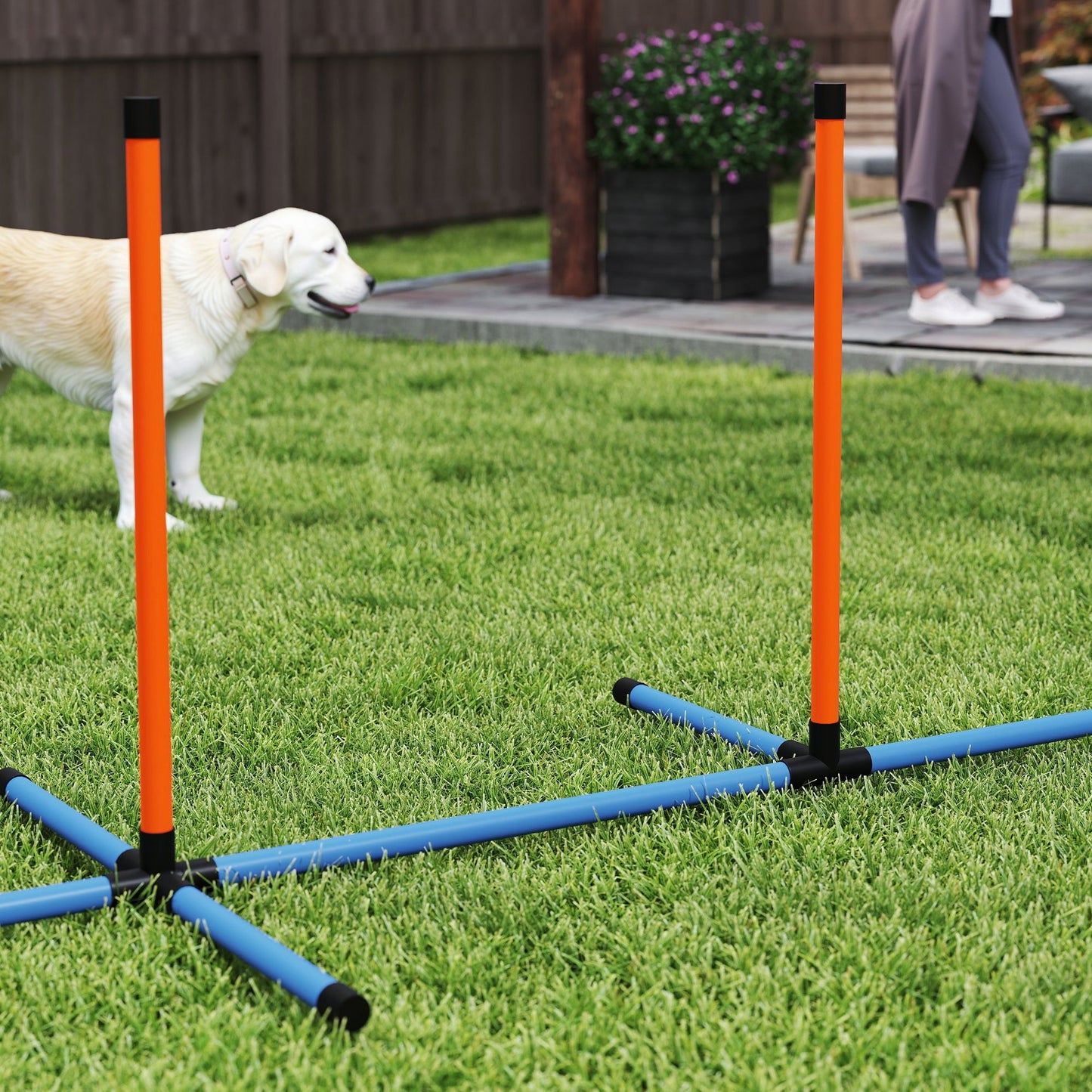 Dog Agility Equipment, 7-Piece Pet Agility Training Set with Weave Poles, Jump Ring, Hurdle, Pause Box, Bag, Obstacle Training Course Kit, Orange