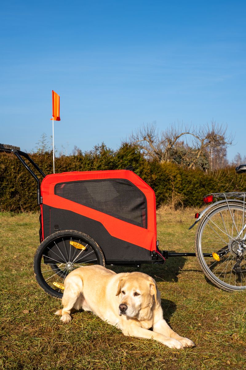 2 in 1 Dog Bike Trailer with Hitch & Quick-release Wheels Red