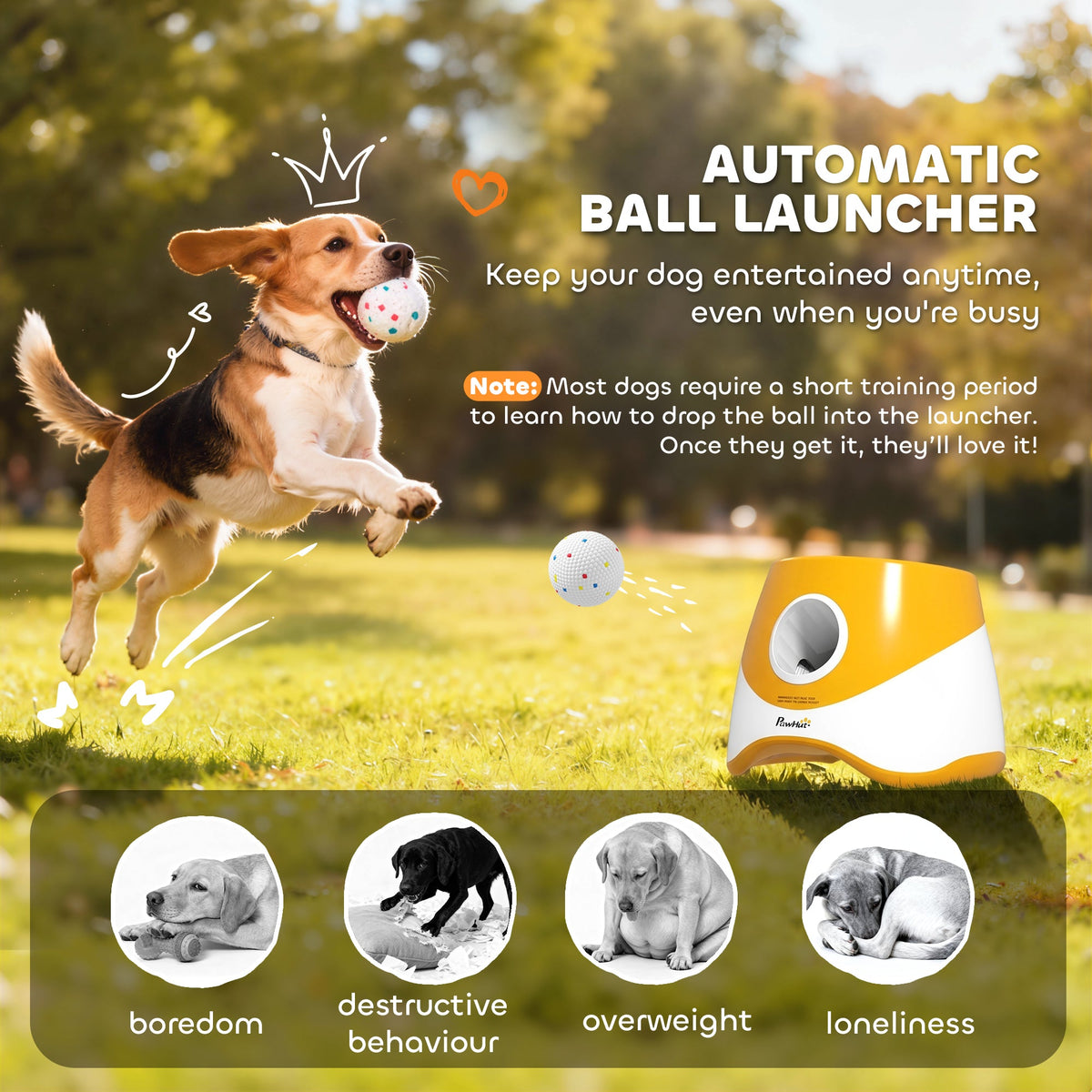 Automatic Dog Ball Launcher with 5 ETPU Balls, Dog Ball Thrower with 3 Distance Settings (6/10/14 m), Indoor Outdoor Interactive Toy for Small Medium Dogs, Orange