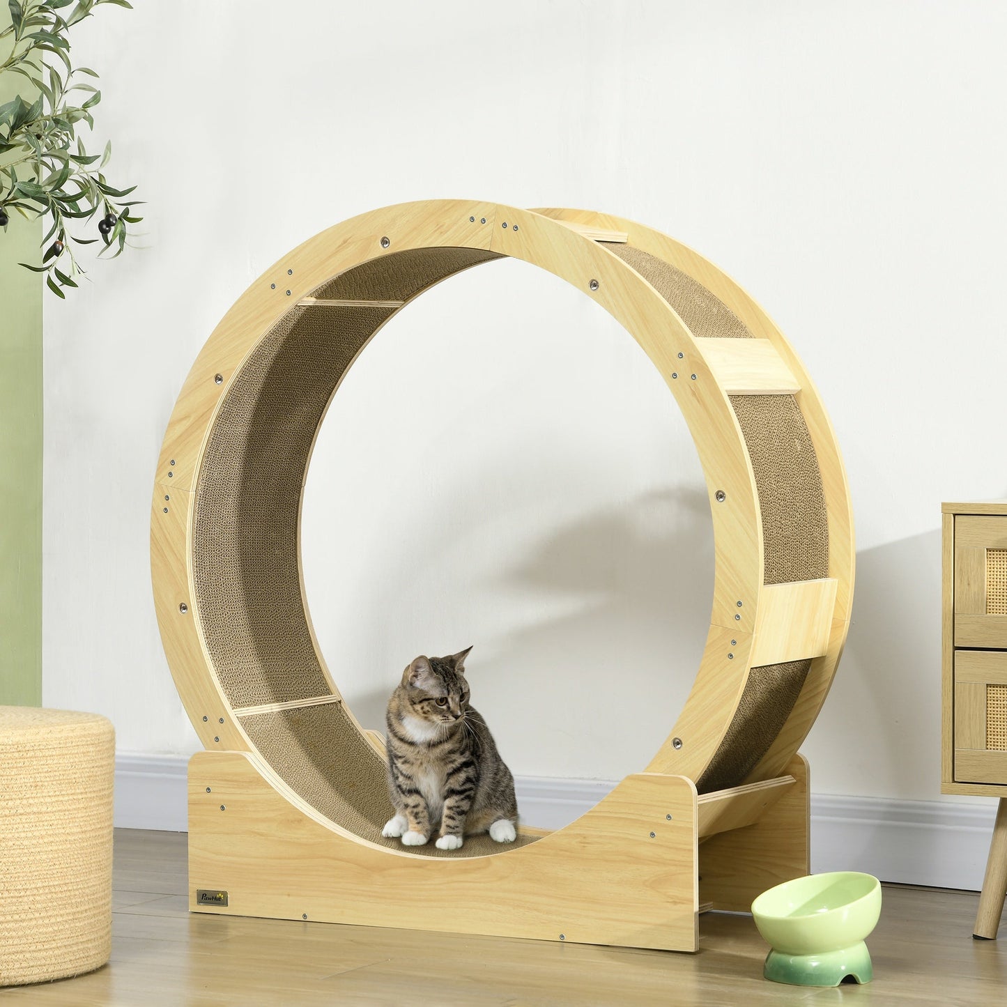 Cat Wheel for Indoor Cats, Cat Treadmill with Brake, Scratching Pads, Cat Exercise Wheel for Health - Oak Tone