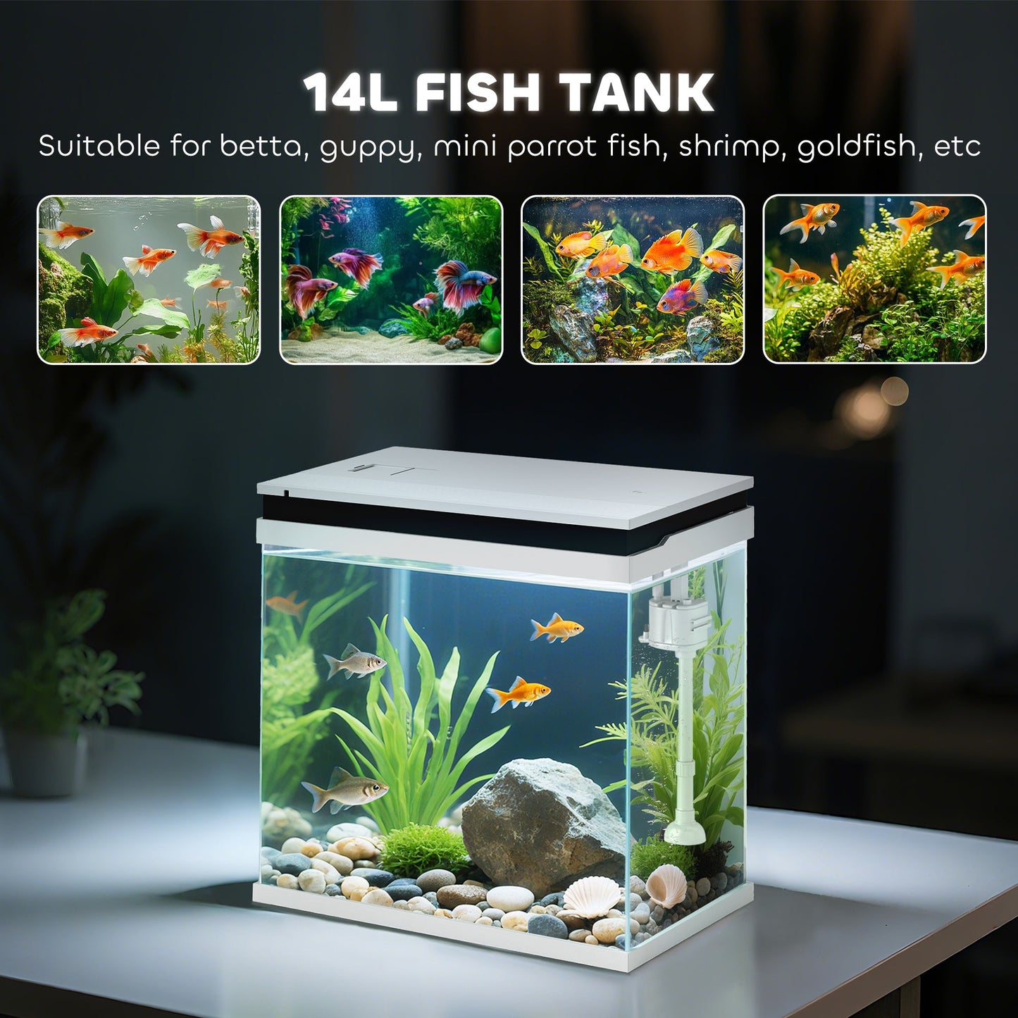 Fish Tank, 14L Glass Aquarium with Filter System, LED Lights, Water Pump, Betta Fish Tank for Goldfish, Shrimps, White