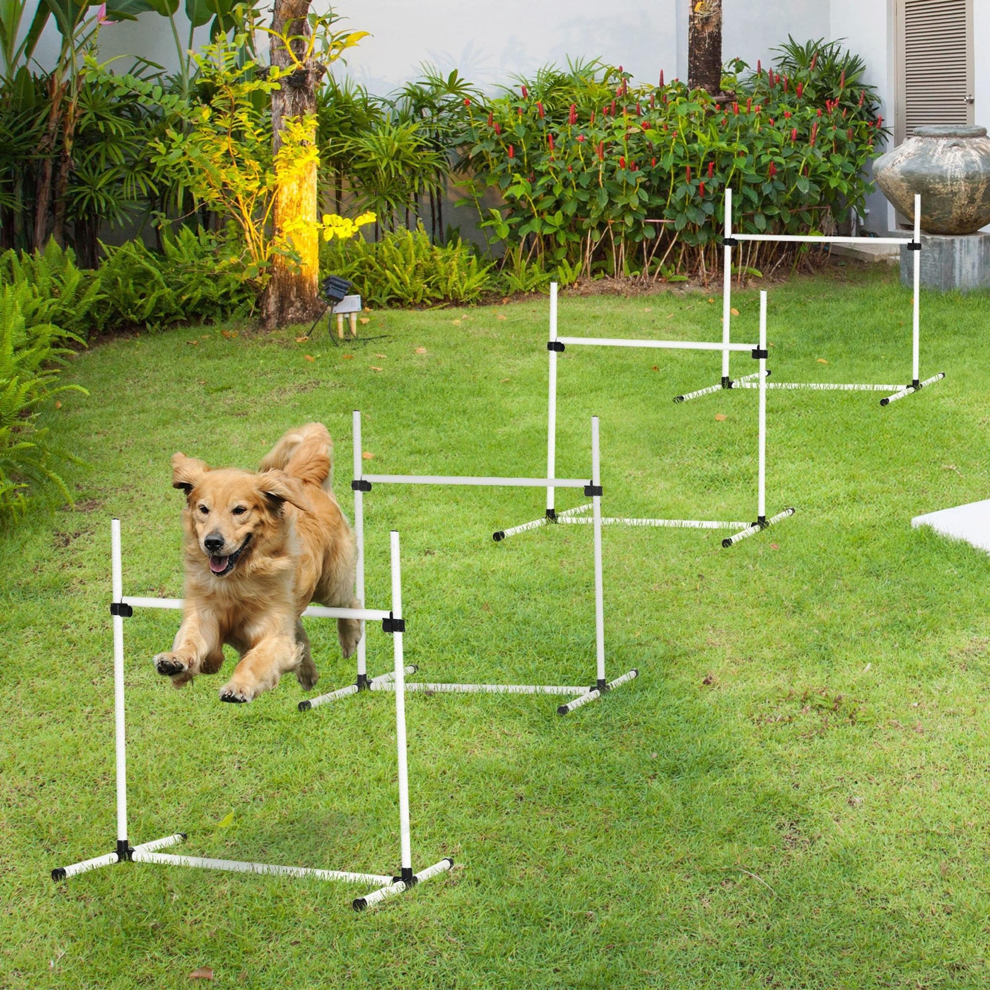 Dog Agility Equipment Training Height Adjustable Jumps Hurdle 4 Pieces with Carrying Bag for Outdoor, White