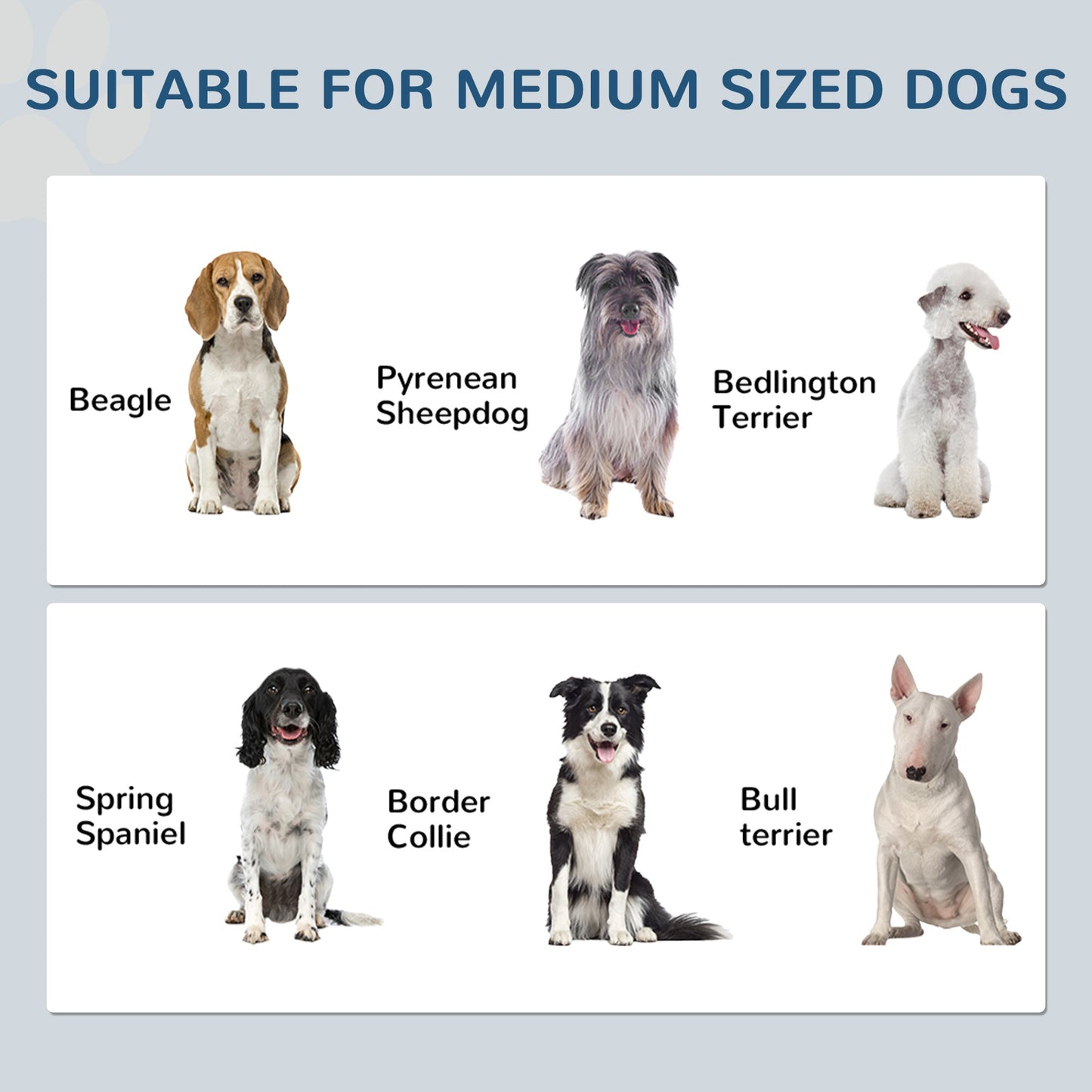 Pet Feeding Station with Storage, Dog Feeding Station with Raised Dog Bowls, Adjustable Panel, Hooks, Pet Food Storage Cabinet, White