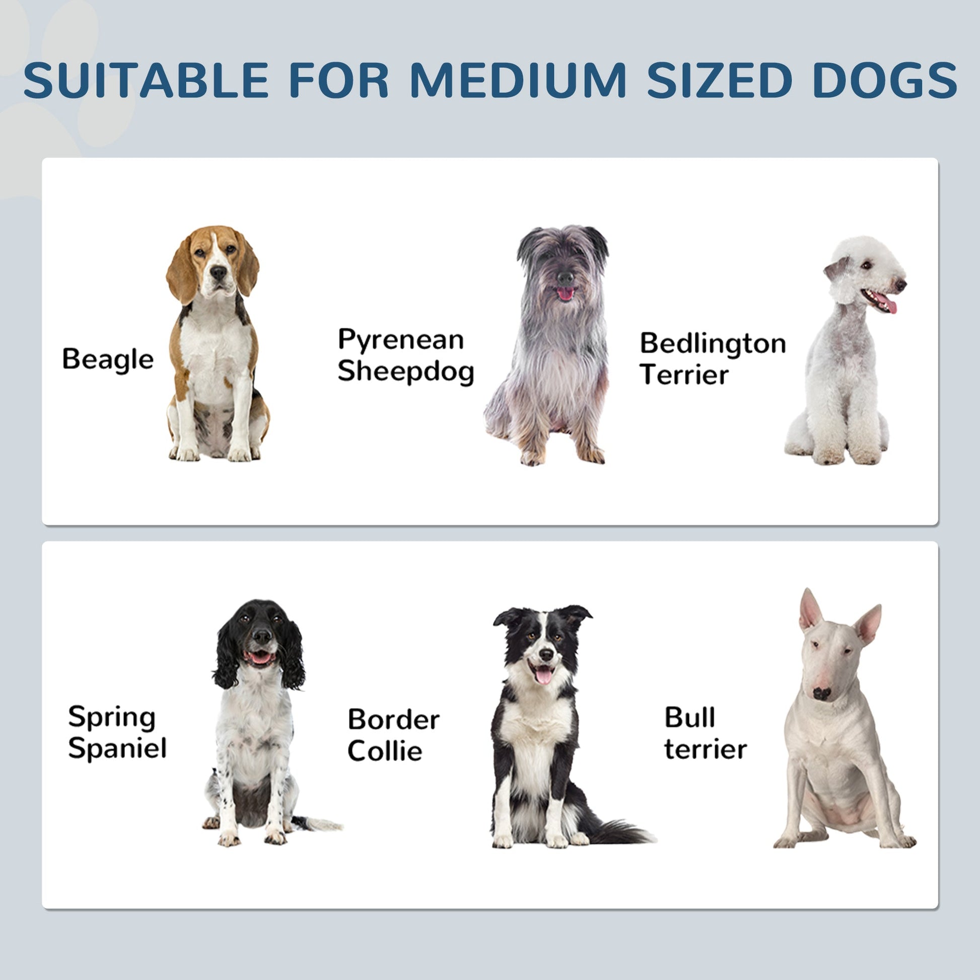 Pet Feeding Station with Storage, Dog Feeding Station with Raised Dog Bowls, Adjustable Panel, Hooks, Pet Food Storage Cabinet, White