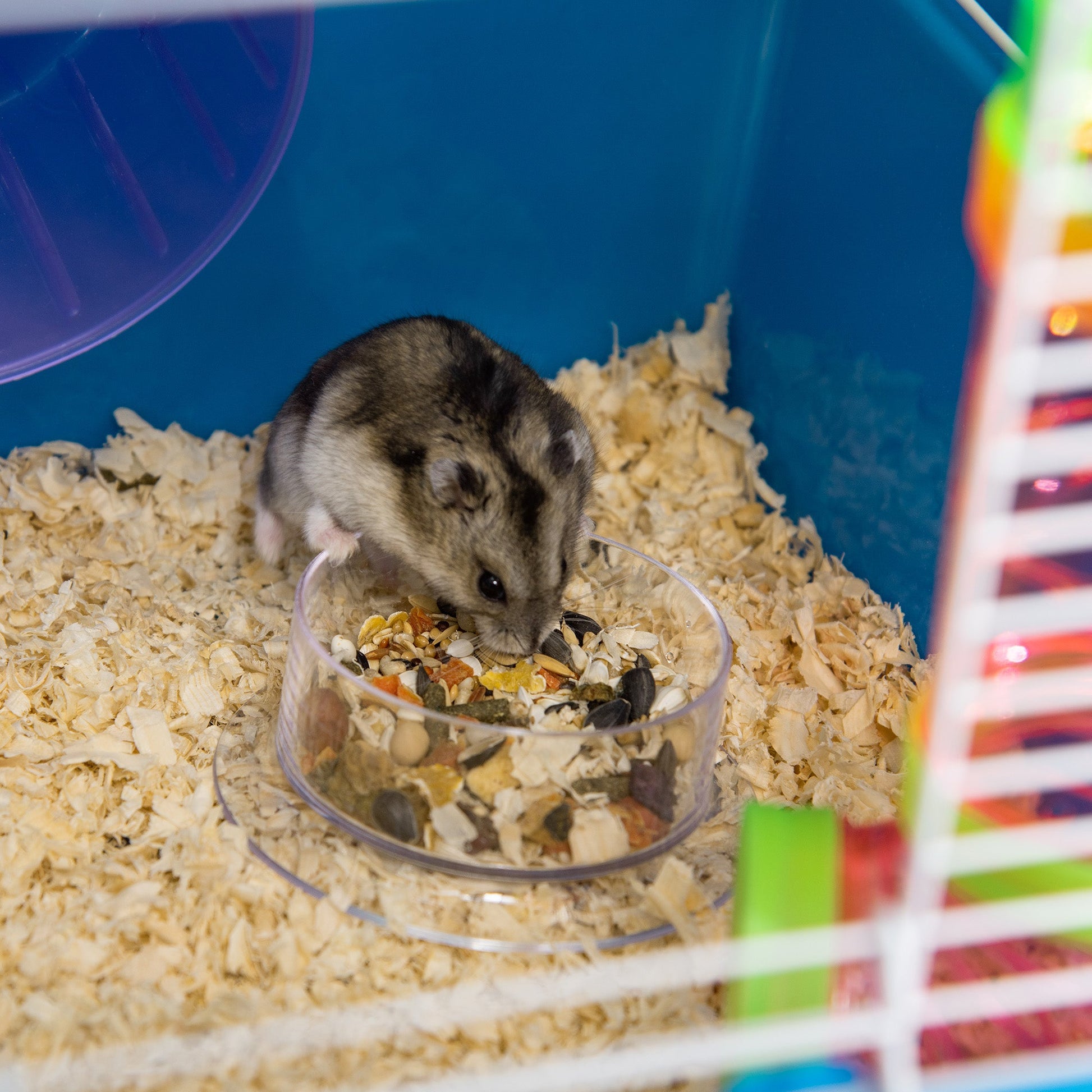 5 Tier Hamster Cage, Gerbil Cage with Tube, Water Bottle, Exercise Wheel, Food Dish, 59L x 36W x 69H cm - Blue