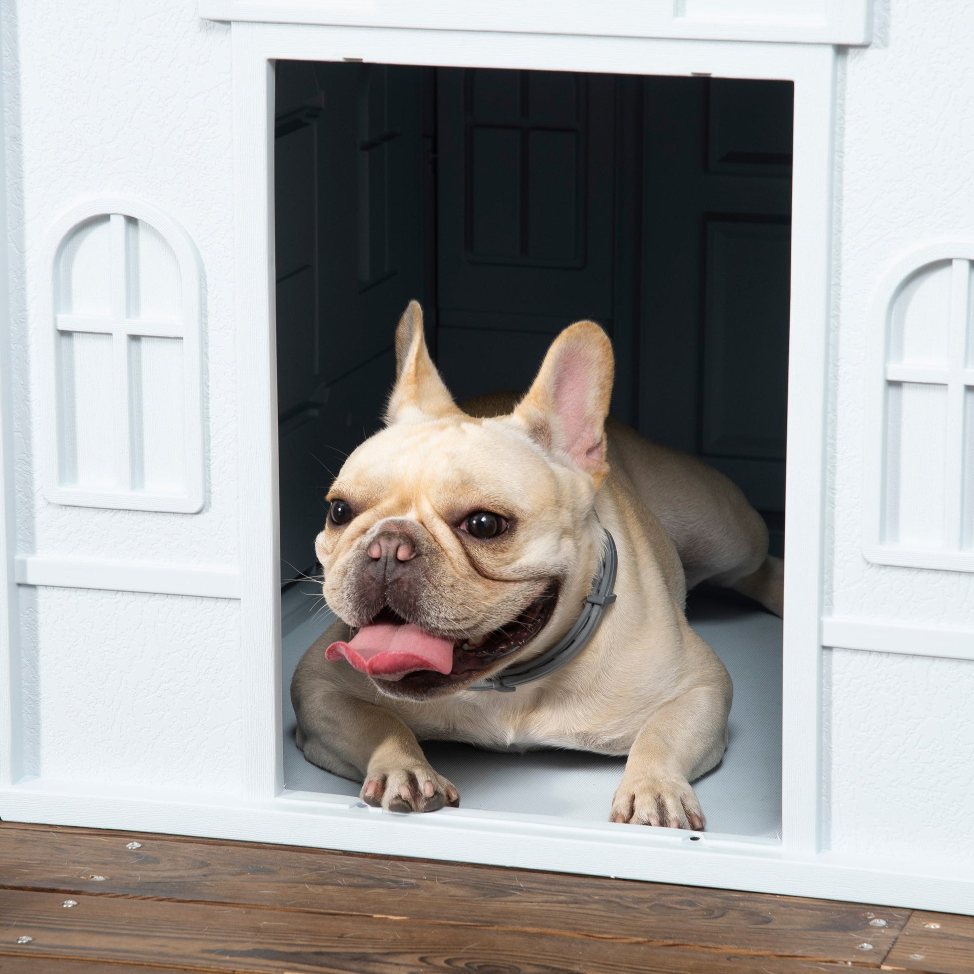 Plastic Dog House Outdoor Indoor, Weather-Resistant Dog Kennel, with Large Opening, for Medium Dogs, 65 x 75.7 x 63cm - White and Blue