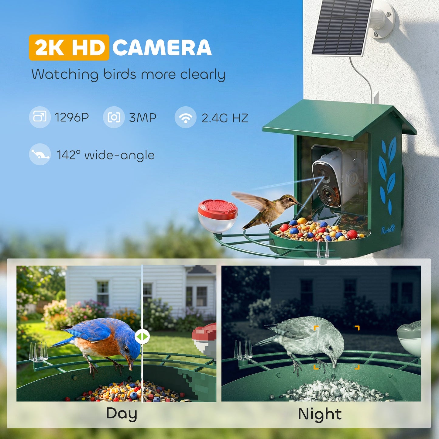 Bird Feeder with Camera, Smart Bird Feeder Camera AI Identifies 16,000+ Species, 2K HD Auto Capture Video, APP Instant Notifications, Hummingbird Feeding Add-ons, 3W Solar Panel, 32GB Card