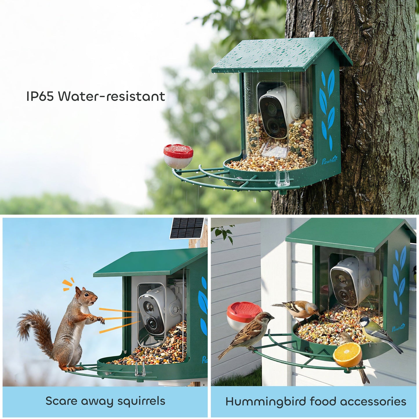 Bird Feeder with Camera, Smart Bird Feeder Camera AI Identifies 16,000+ Species, 2K HD Auto Capture Video, APP Instant Notifications, Hummingbird Feeding Add-ons, 3W Solar Panel, 32GB Card