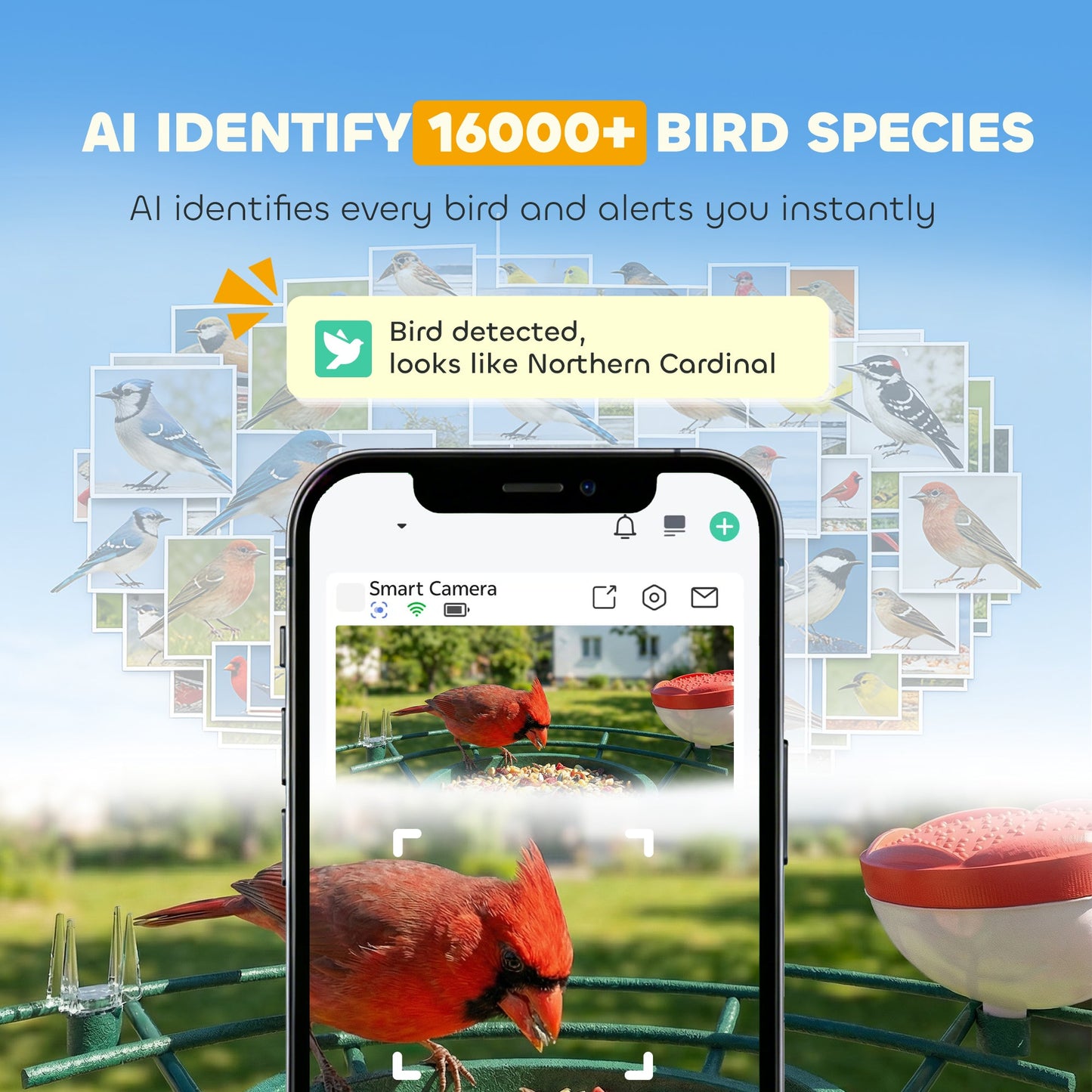 Bird Feeder with Camera, Smart Bird Feeder Camera AI Identifies 16,000+ Species, 2K HD Auto Capture Video, APP Instant Notifications, Hummingbird Feeding Add-ons, 3W Solar Panel, 32GB Card