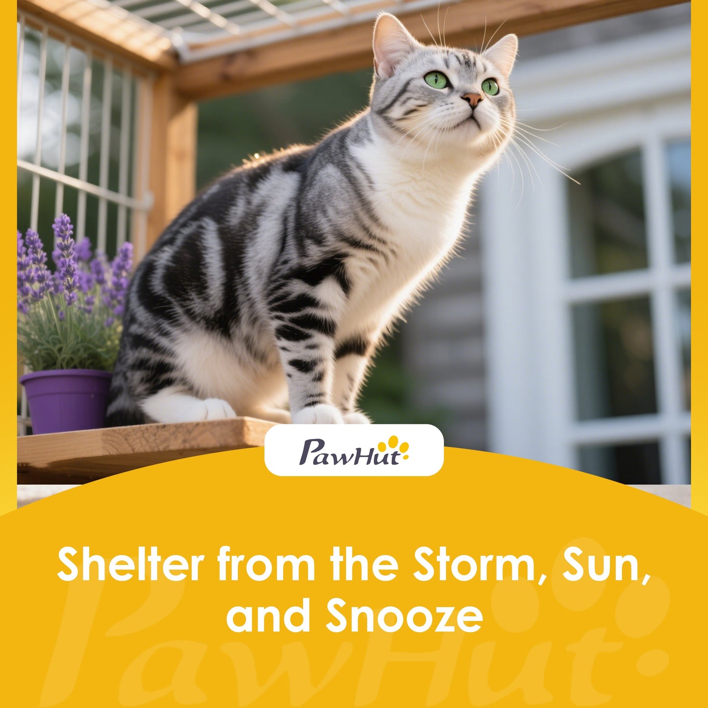 Outdoor Cat House Insulated, Wooden Weatherproof Feral Cat Shelter with Openable Asphalt Roof, Plastic Door Flaps, Rabbit Hutch for Bunnies, for Winter Outside, 61 x 51 x 53.5 cm, Grey