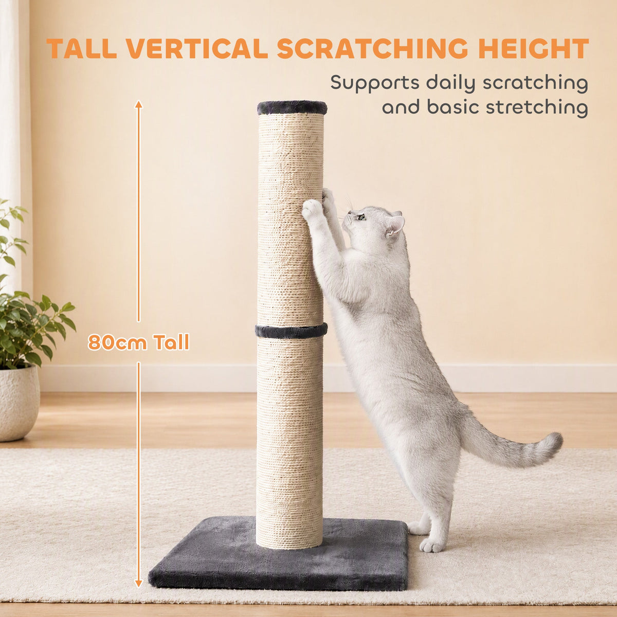 Cat Scratching Post, 80cm Tall Cat Scratch Post with Sisal Rope, Plush Base, Lightweight Claw Scratcher for Indoor Kittens, Dark Grey