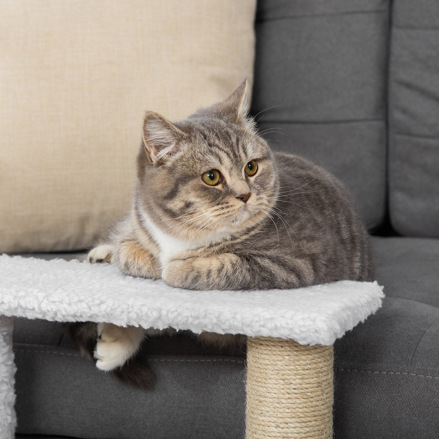 Pet Stair, Cat Tree with 3-step Climb Ladder, Scratching Posts, Platforms, Toy Ball, for Indoor Elderly Cats Kittens, White