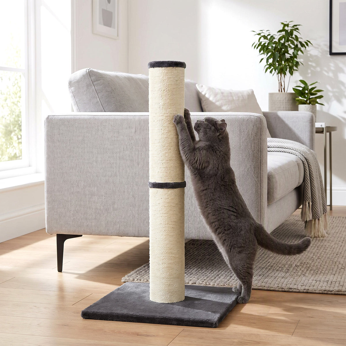 Cat Scratching Post, 80cm Tall Cat Scratch Post with Sisal Rope, Plush Base, Lightweight Claw Scratcher for Indoor Kittens, Dark Grey